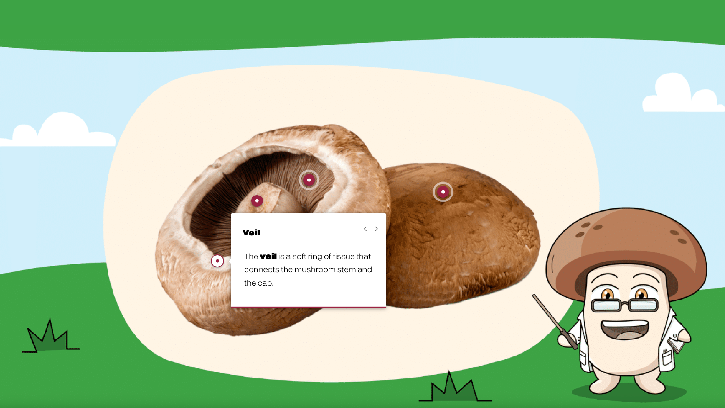 Interactive online learning modules featuring custom illustrations, educational activities and visual storytelling designed to support self-paced classroom learning.