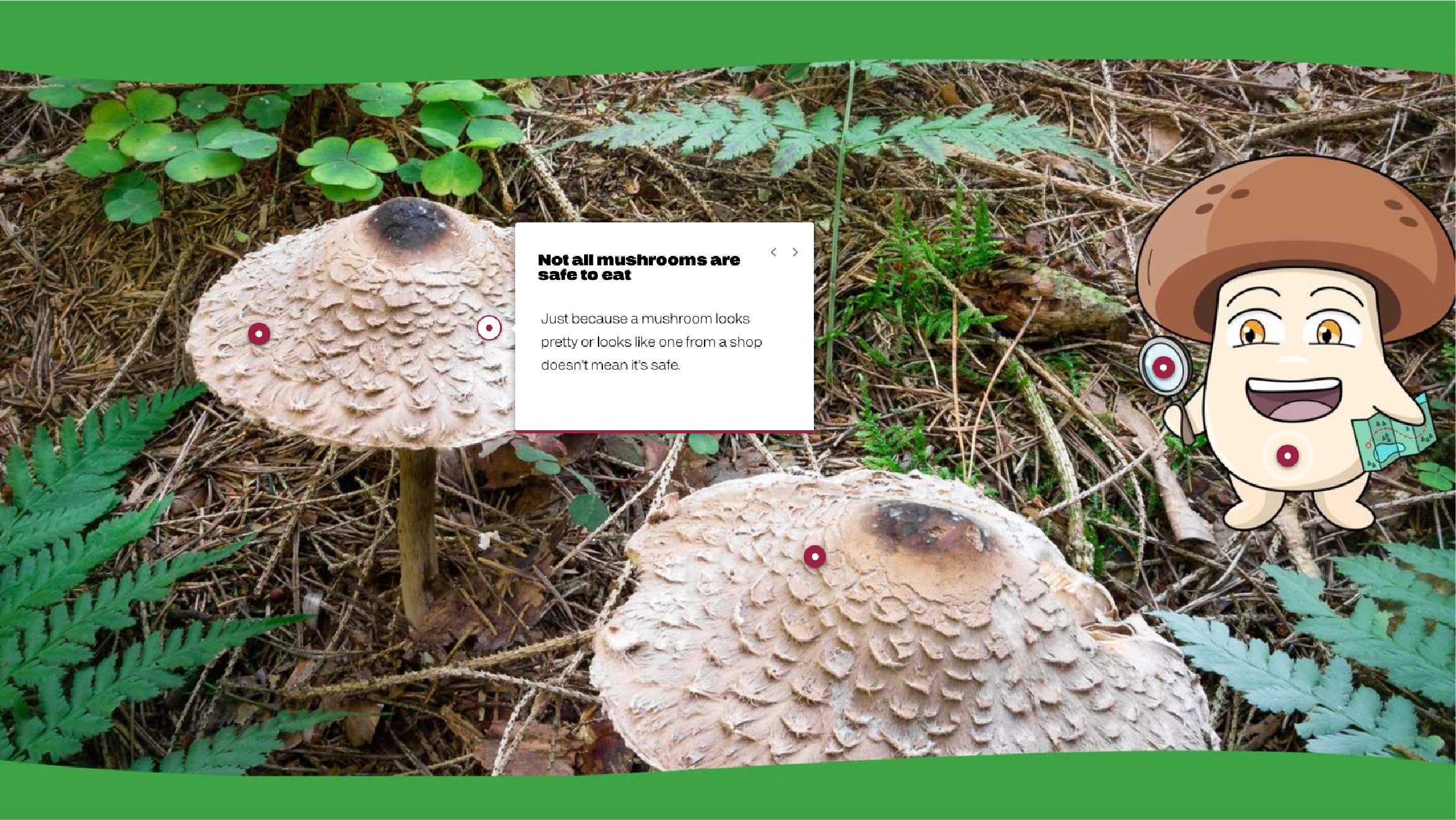 Interactive online learning modules featuring custom illustrations, educational activities and visual storytelling designed to support self-paced classroom learning.