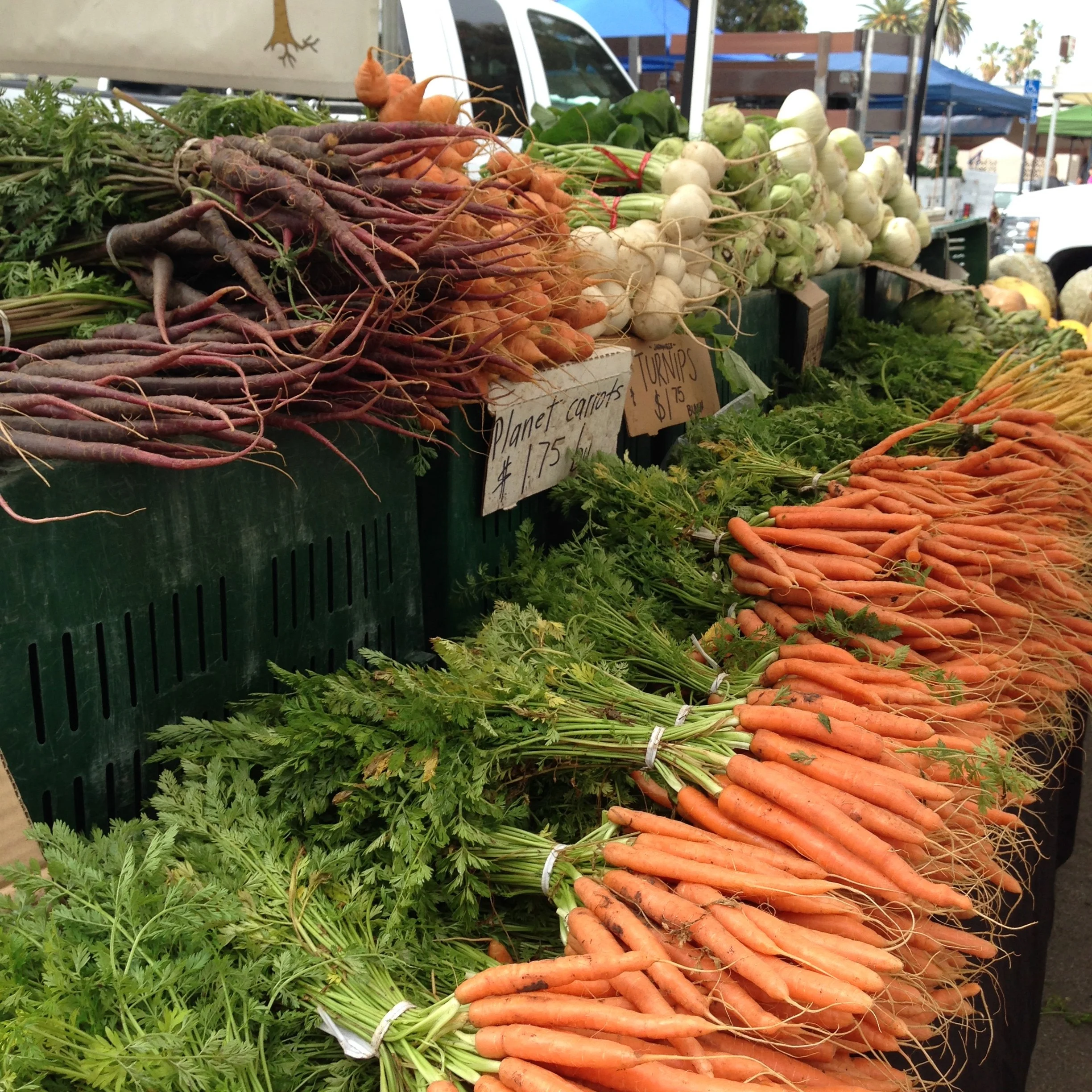 Farmer’s Markets