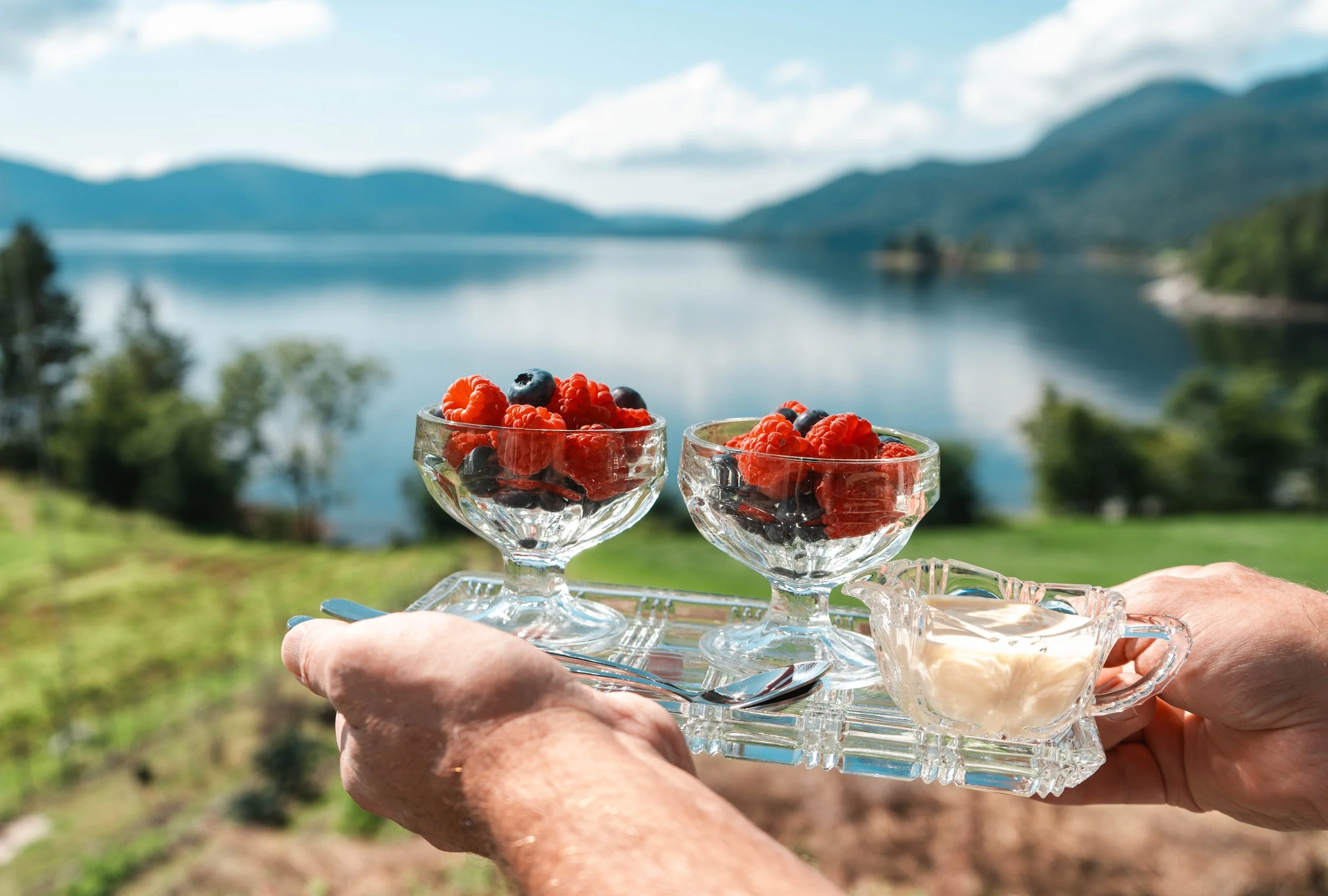 Hands holding a glass tray with two glasses of berries, overlooking a lake and mountains in the background.