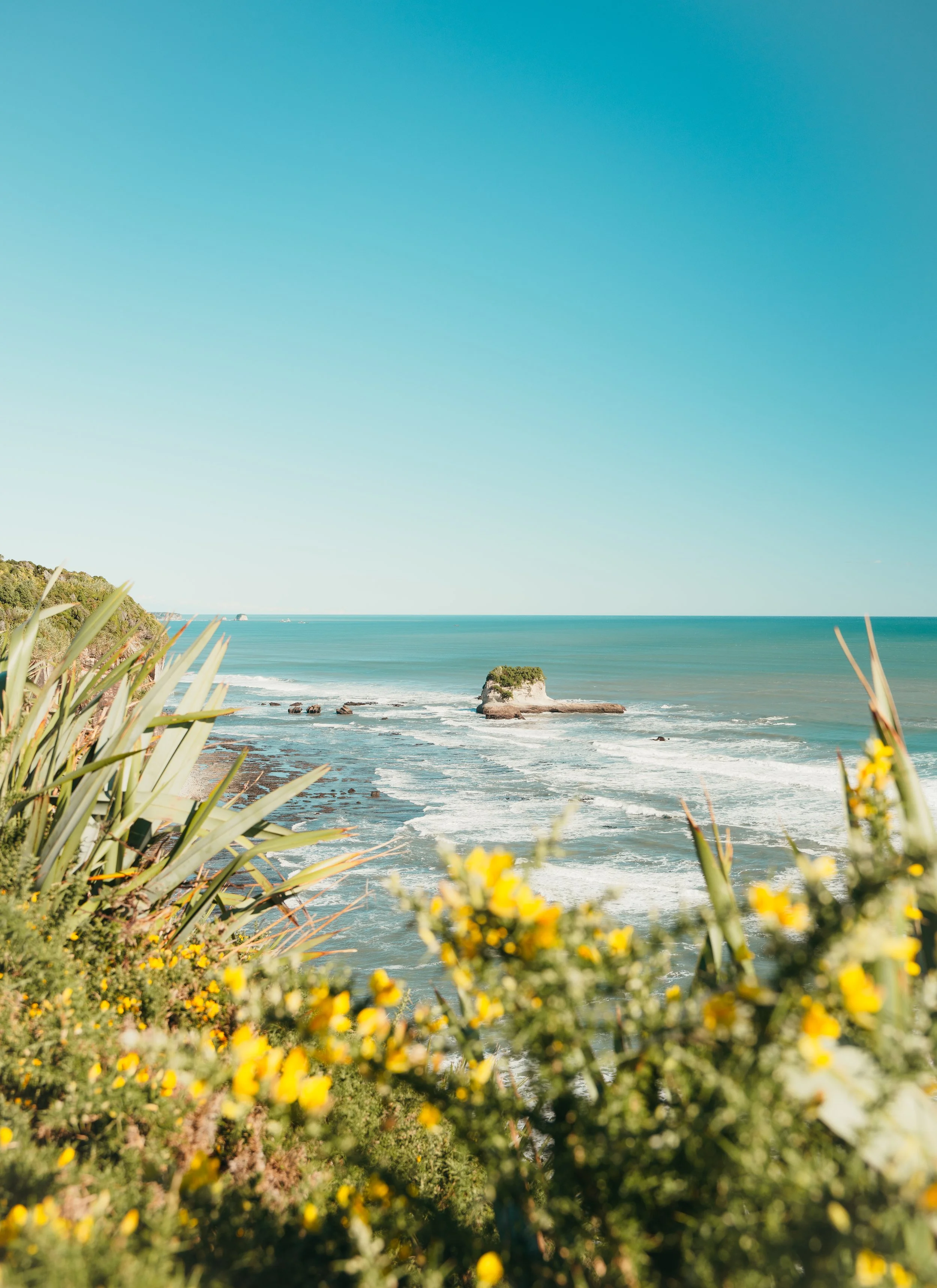 Coastal scene with blue sky, ocean, rocky shoreline, and yellow flowers in the foreground.