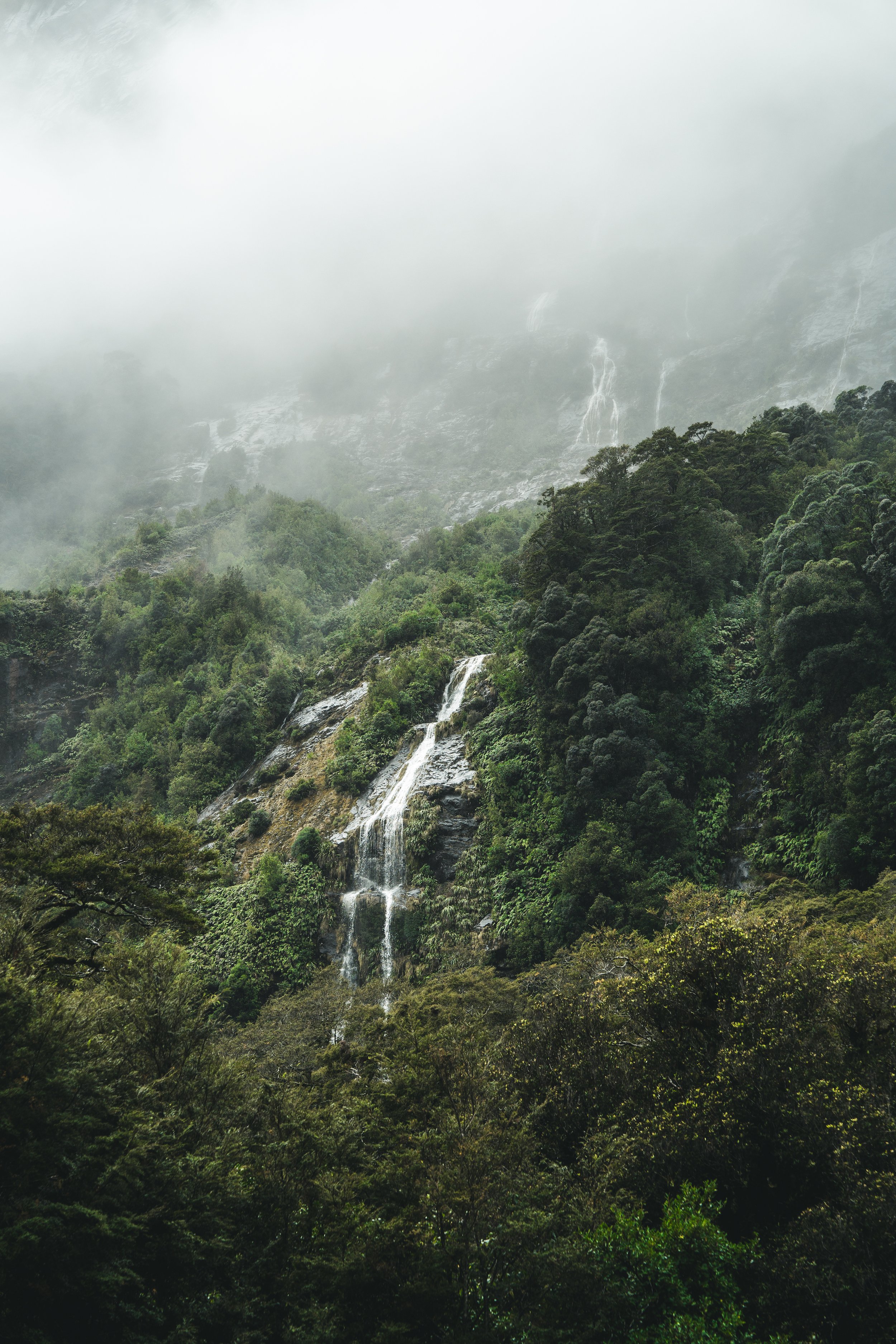 A lush green forest with a tall mountain in the background. A waterfall cascades down the mountain side, partially obscured by mist.