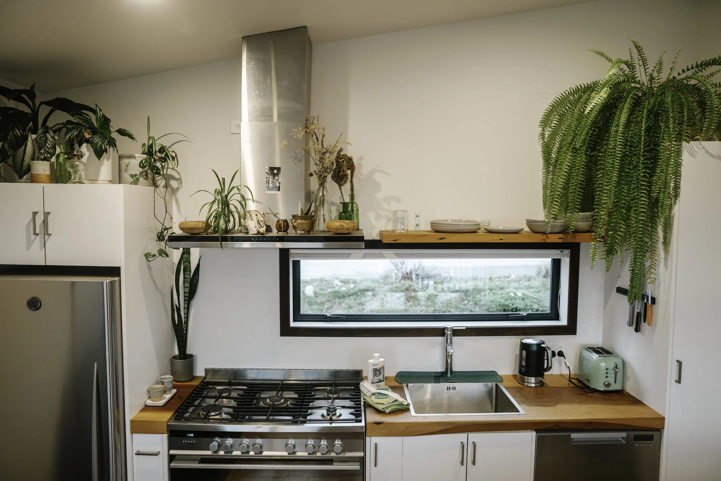 A modern kitchen with a white cabinet, various potted plants on top, a wooden shelf with dishes, a window, and kitchen appliances including a stove, toaster, kettle, and sink.