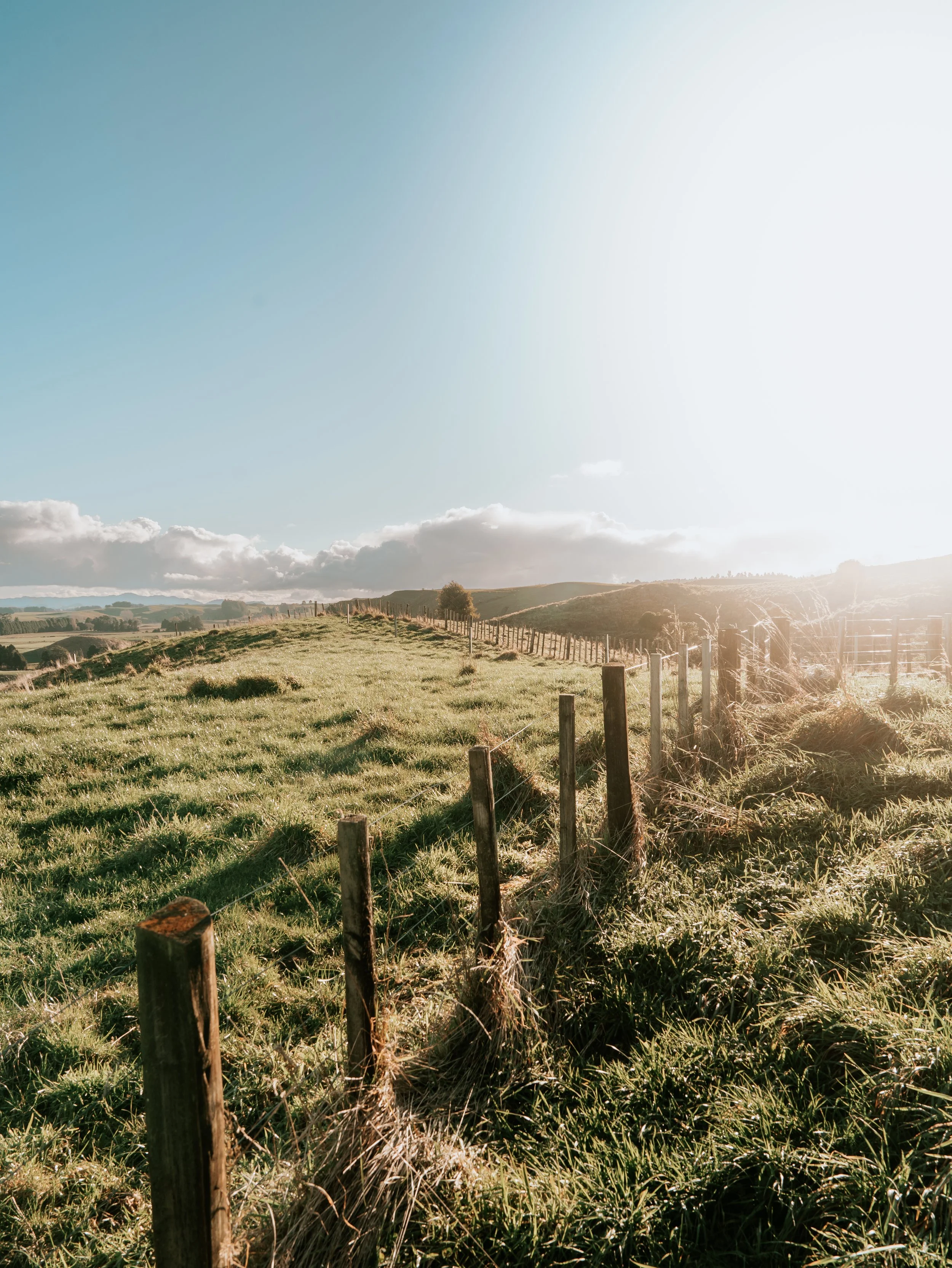 A rural landscape with a grassy field, a wooden fence, rolling hills under a blue sky with some clouds, and the sun shining from the right side.