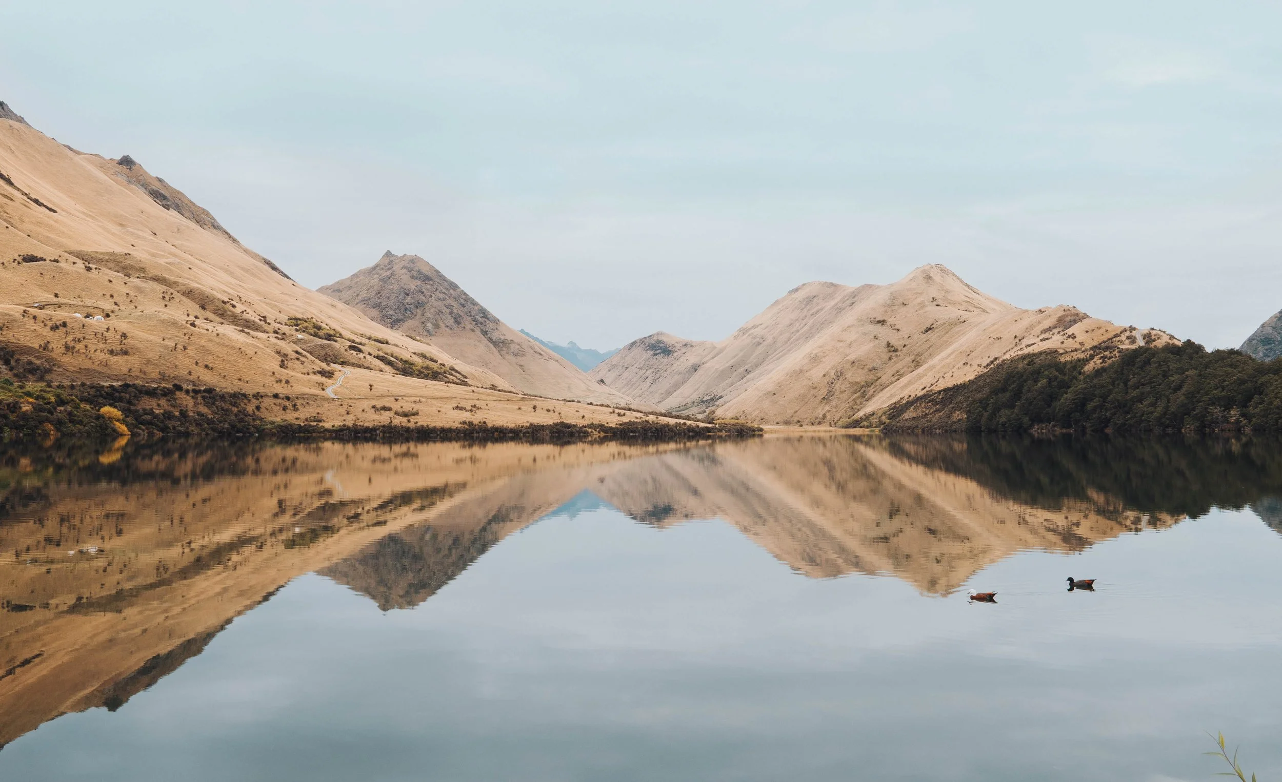 A calm lake reflecting surrounding mountains with dry grass and sparse bushes, with two ducks floating on the water.