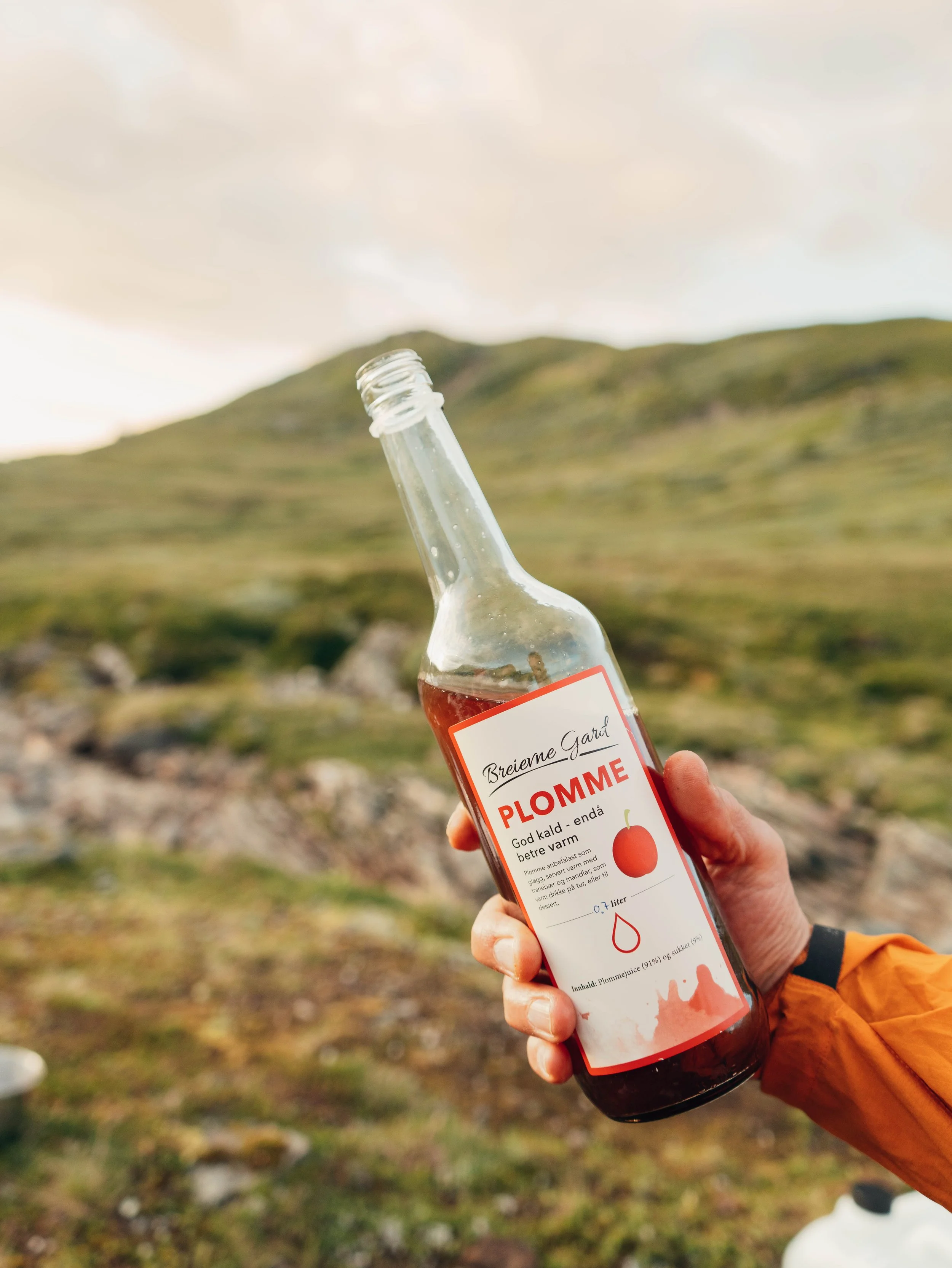 Close-up of a hand holding a bottle of apple juice with an outdoor landscape in the background, showing a hilly terrain and cloudy sky.