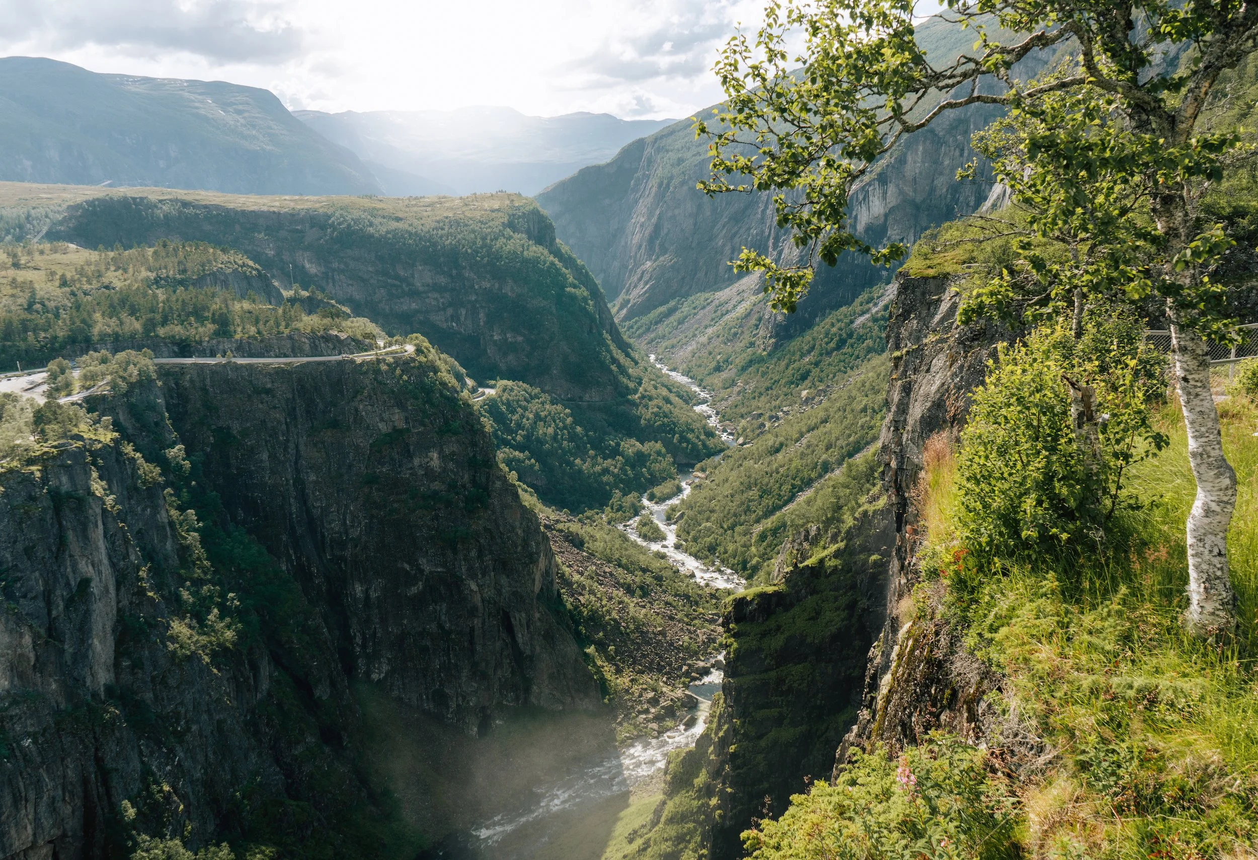View of a green canyon with steep cliffs, a river running through the bottom, trees on the edges, and mountains in the background under a cloudy sky.