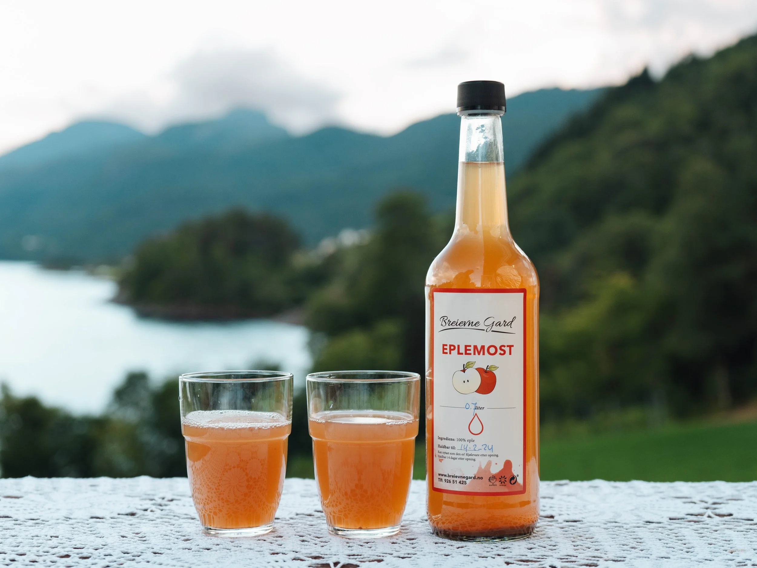 A bottle of apple juice labeled 'Eplemost' with two glasses of the juice in front of it, set outdoors with a scenic mountainous landscape in the background.