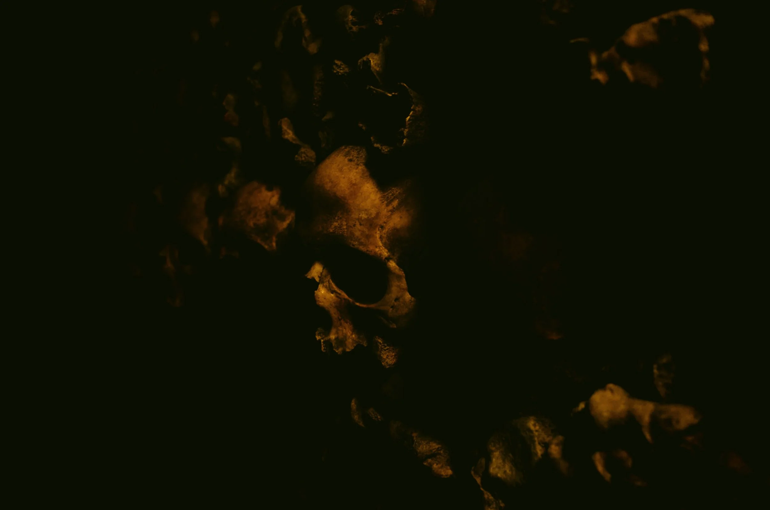 Skull 1.jpg