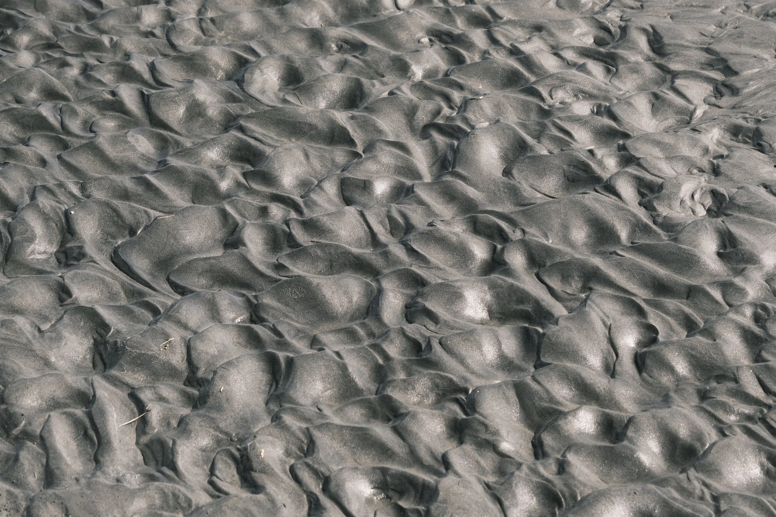 _DSF3742.JPG