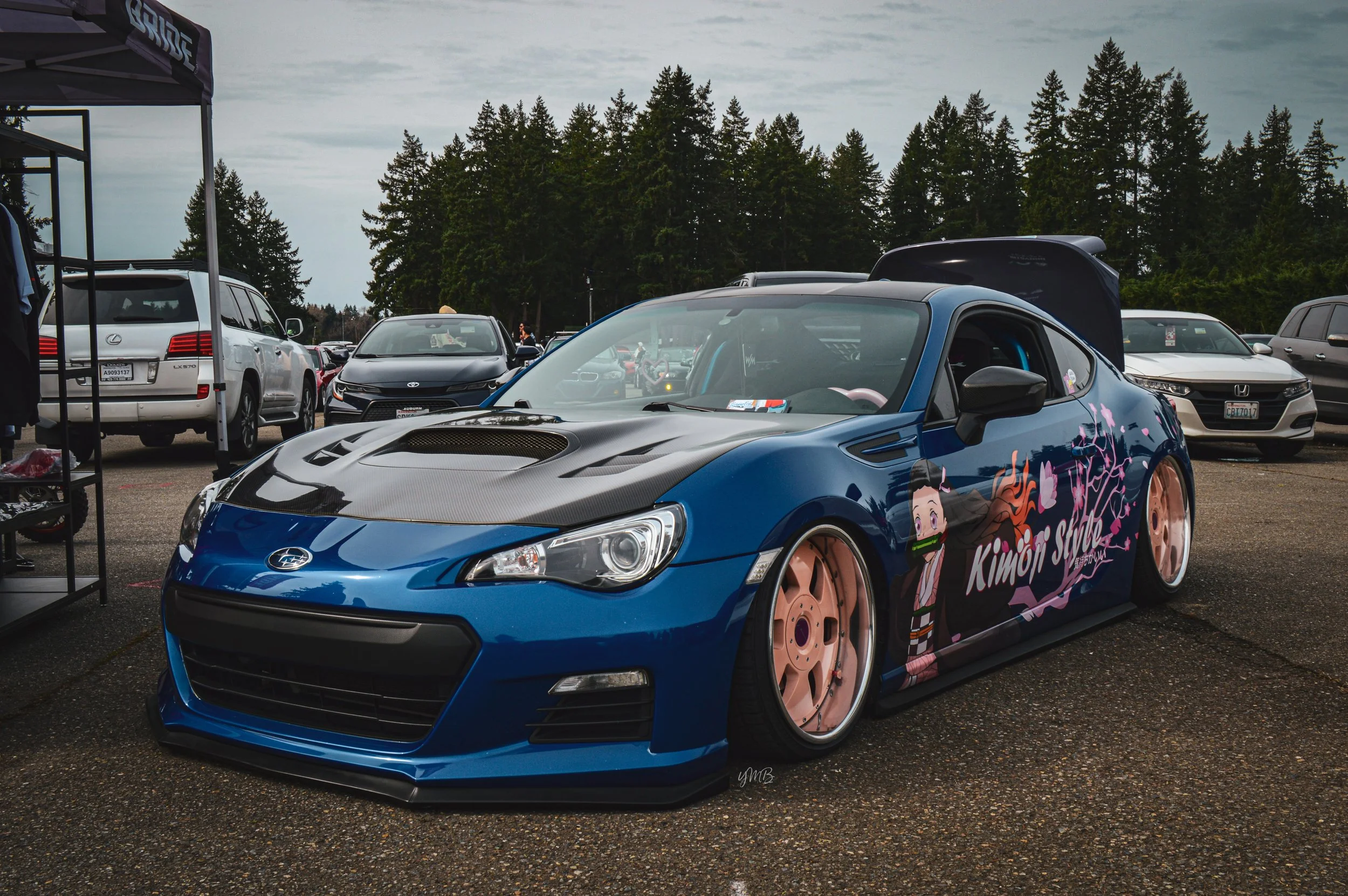 DSC_0164.jpg