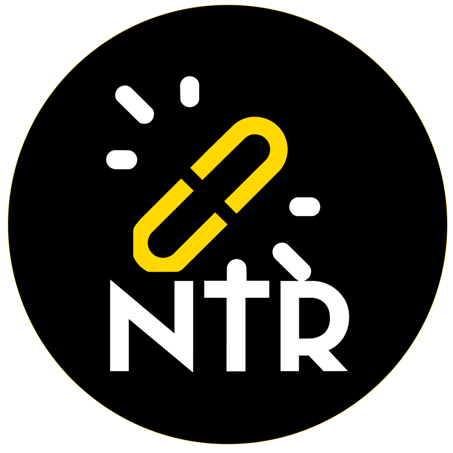 Nat Turner Revolution