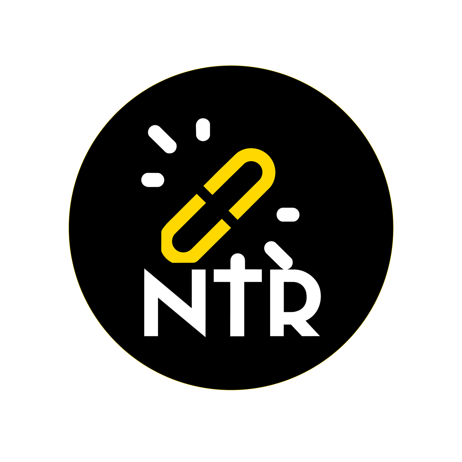 Nat Turner Revolution
