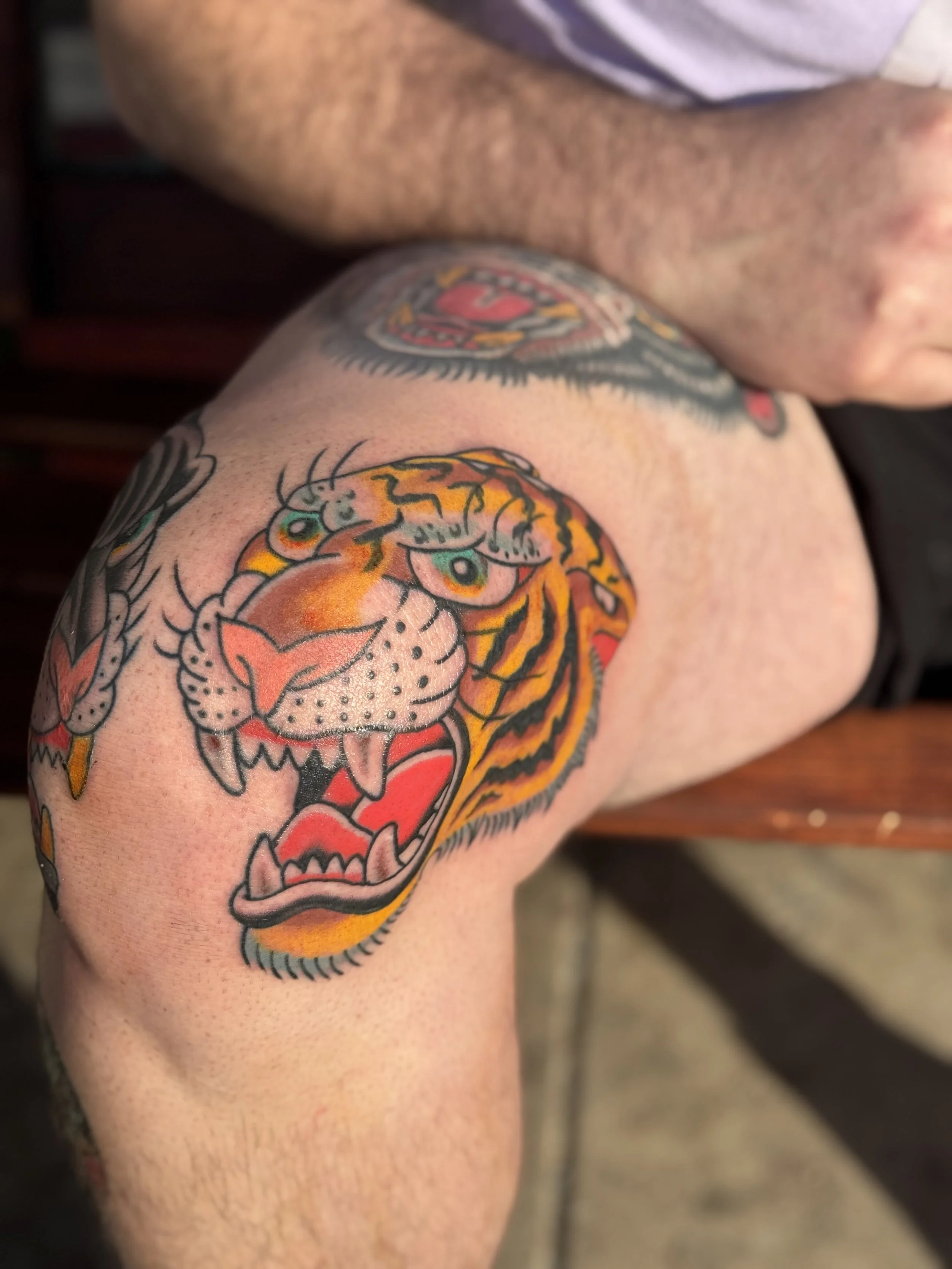 A close-up image of a person's shoulder with a colorful tiger tattoo in traditional style, featuring vivid orange, black, and white details.
