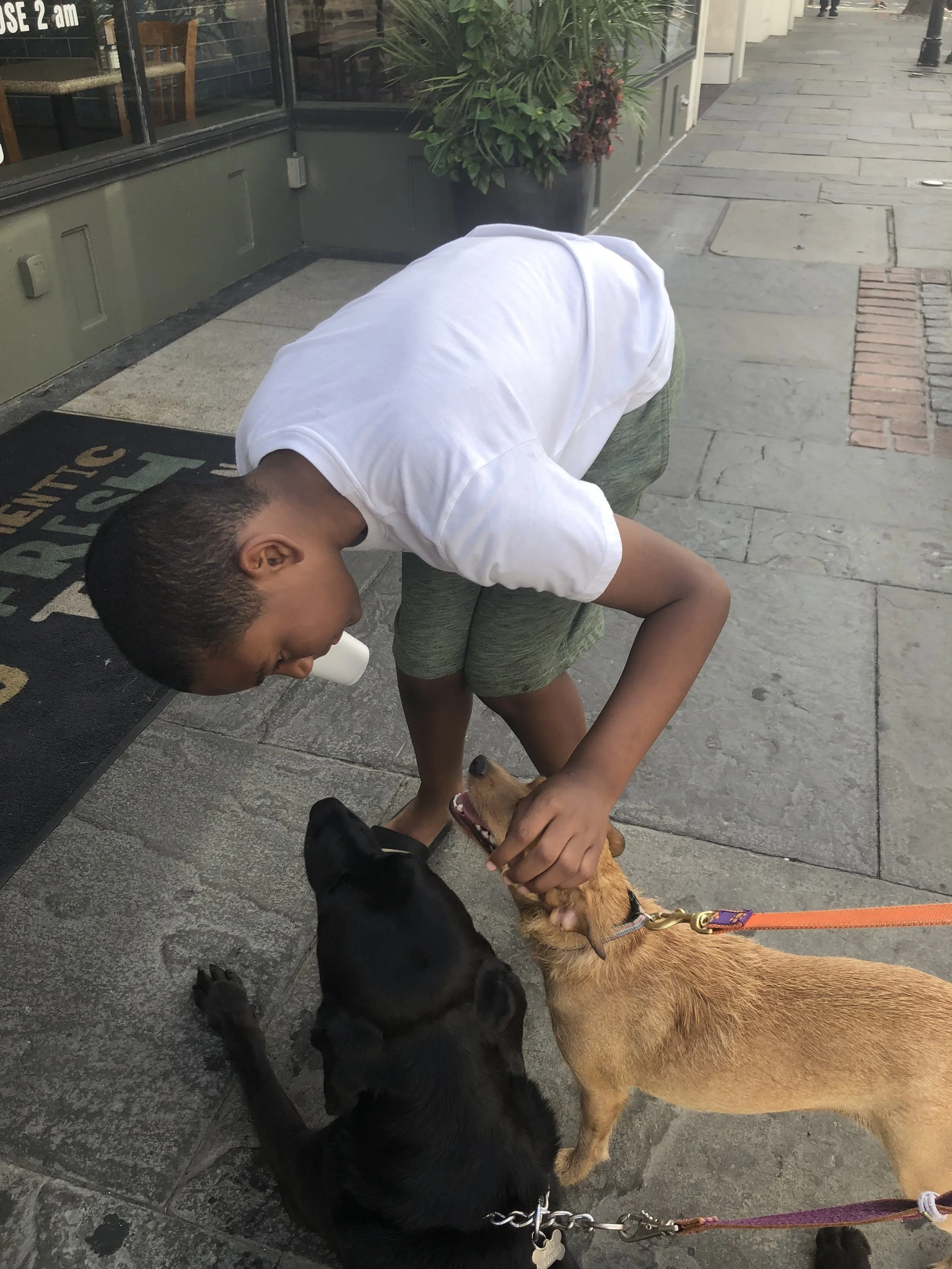 A person with short hair wearing a white t-shirt and green shorts bending down to pet two dogs on the street. One dog is black and the other is brown. There is a storefront with potted plants and a sidewalk in the background.