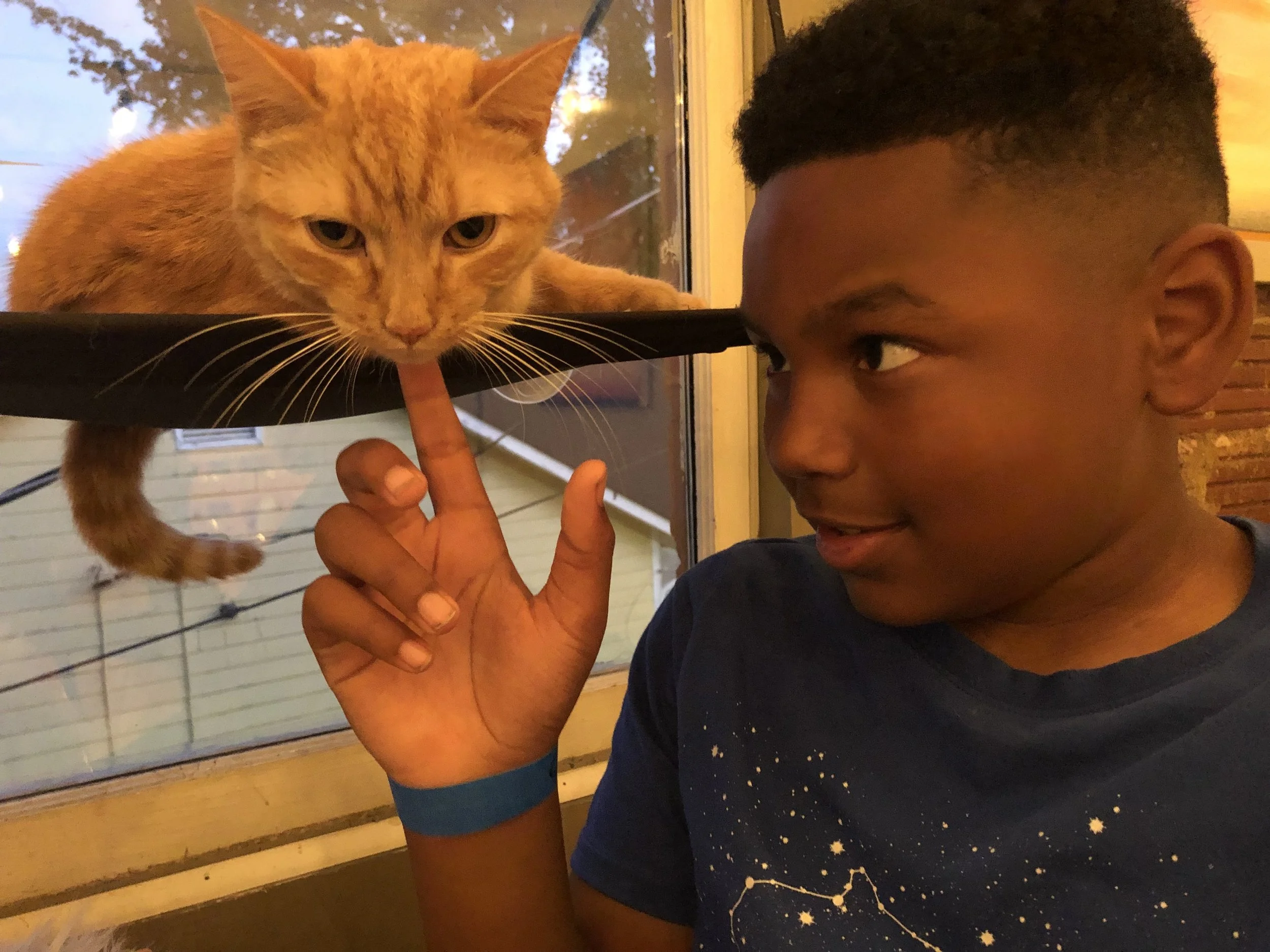A boy with short textured hair smiling as he points at a curious orange tabby cat sitting on a black tray near a glass door. The boy is wearing a dark shirt with a star pattern, and the indoor background includes a wood-paneled wall.