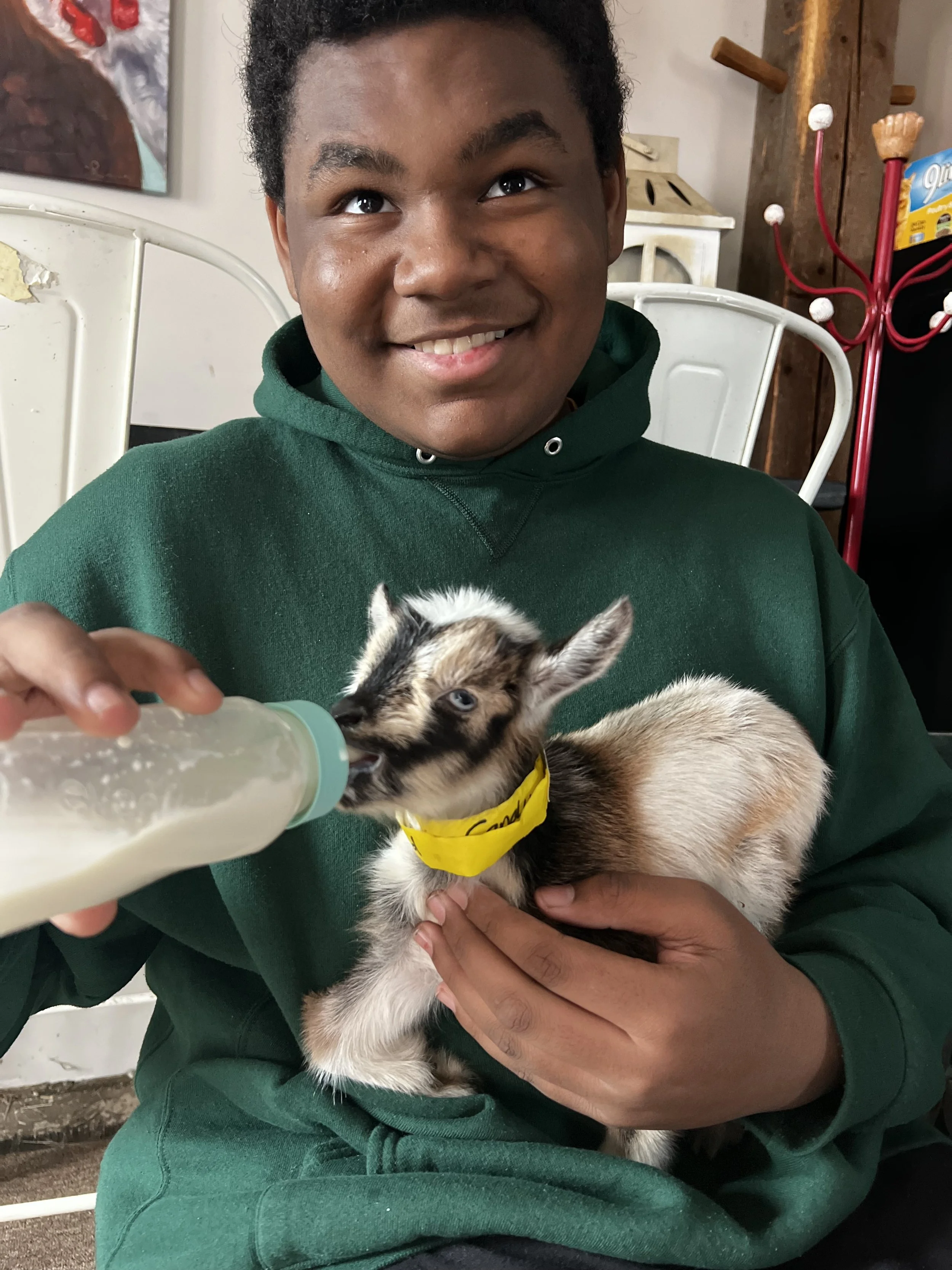 A young boy with dark curly hair and dark eyes smiling while holding a small puppy kitten. The boy wears a dark green hoodie. The boy is feeding the puppy kitten with a bottle.
