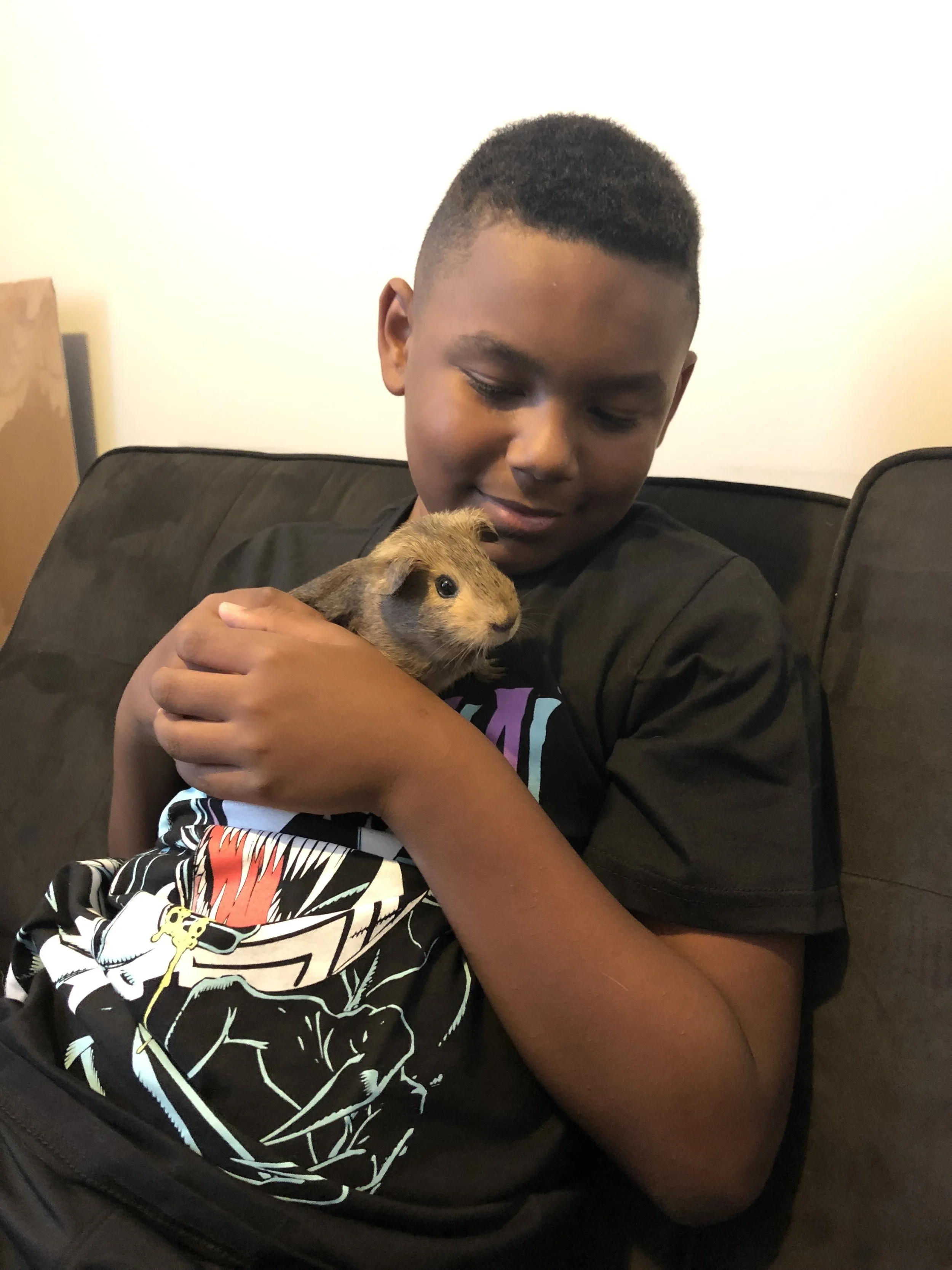 A young boy with short hair sitting on a black sofa, smiling and holding a brown guinea pig close to his chest, with a white wall background.