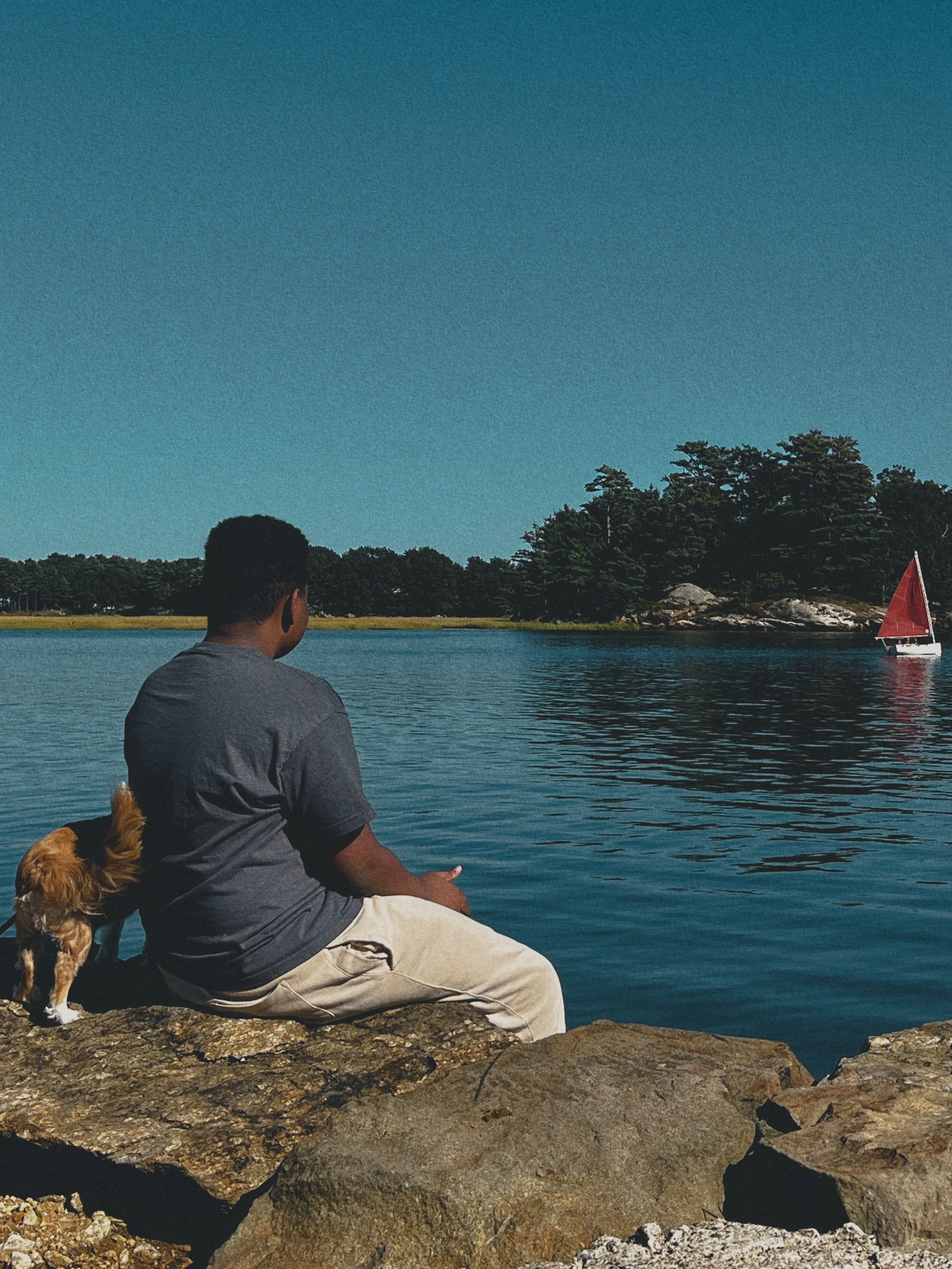 A man with a small dog sitting on a rocky shoreline, overlooking a body of water with trees and a small sailboat with a red sail in the background during the daytime.