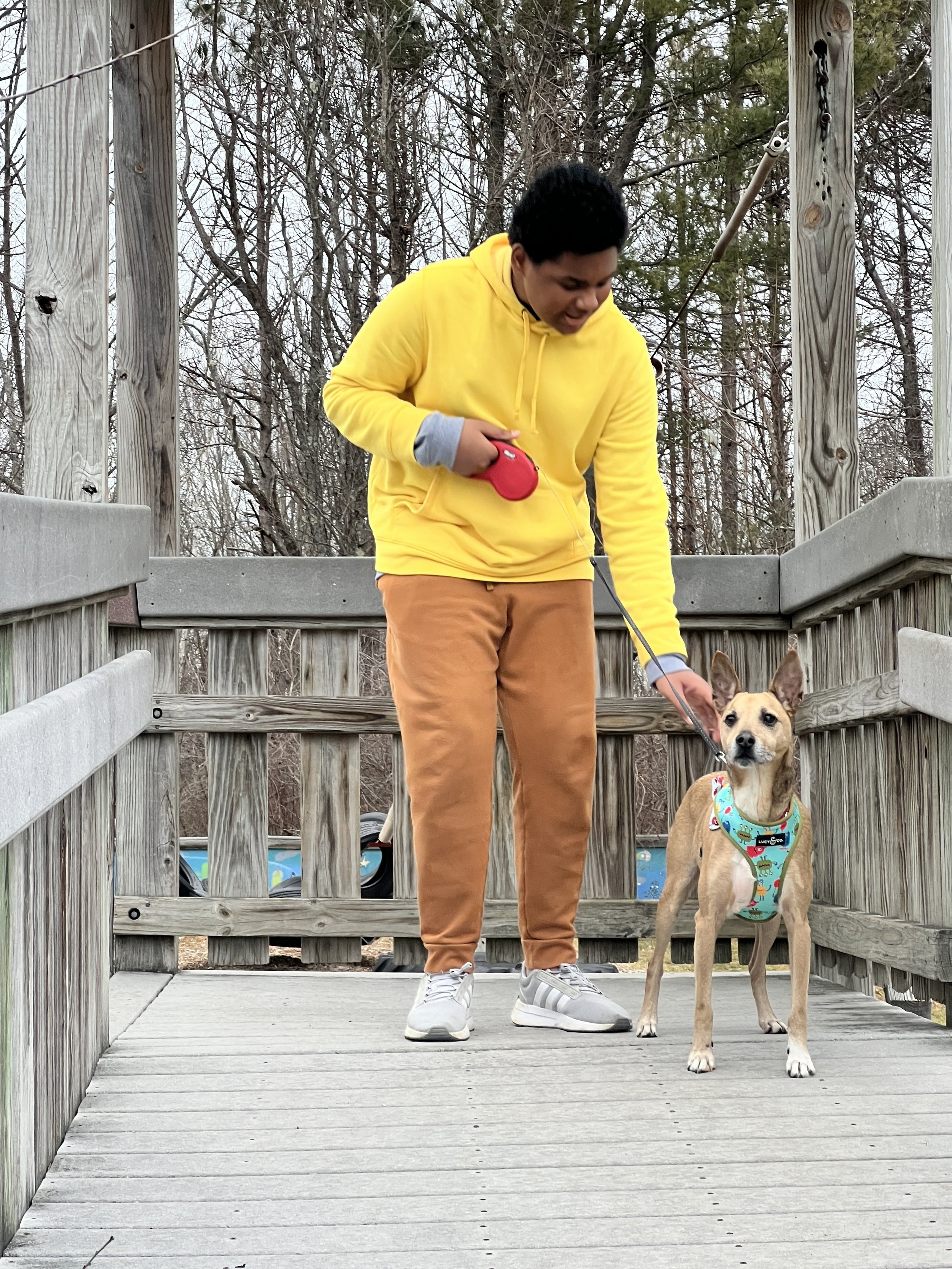 A person wearing a yellow hoodie and brown pants is standing on a wooden bridge, holding a red dog leash. A dog with a light brown coat and a colorful harness is standing next to them, looking directly at the camera. The bridge is surrounded by leafl
