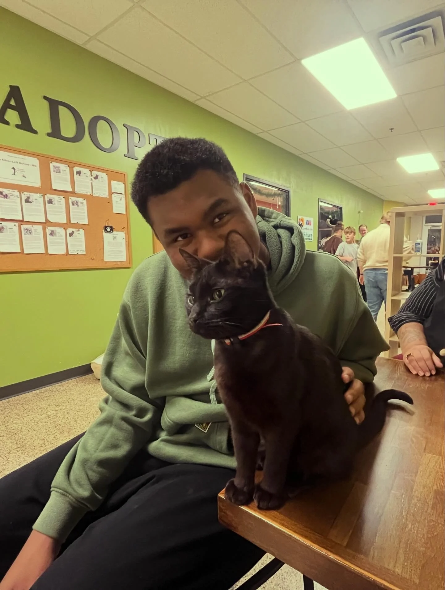 Young man in a green hoodie holding a black cat with brown markings on a wooden platform in a pet store. Many people are visible in the background.