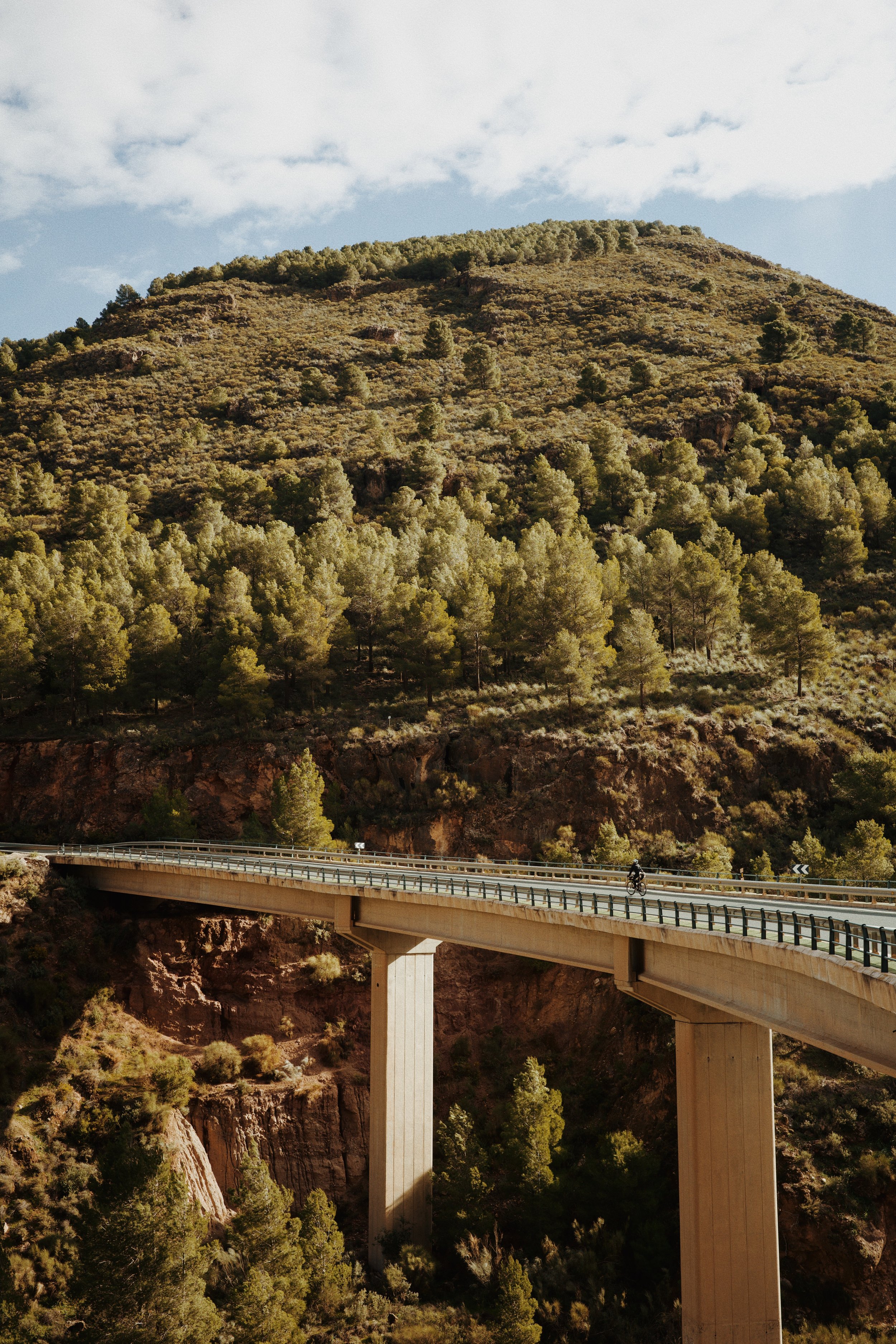 Un pont en béton traverse une vallée escarpée entourée de collines boisées avec un cycliste roulant dessus.