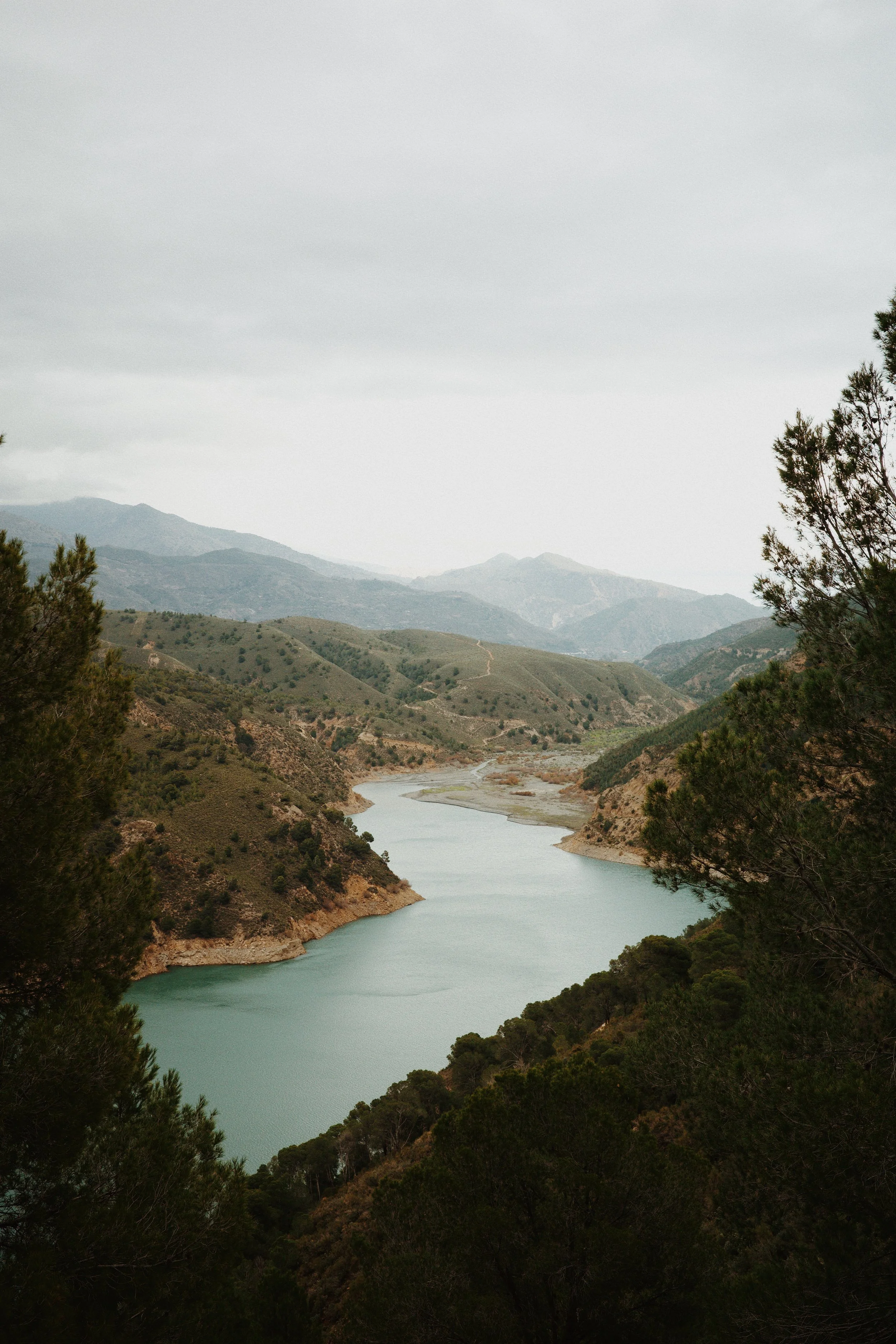 Un lac entouré de collines verdoyantes dans un paysage montagneux, avec un ciel nuageux en arrière-plan et quelques arbres en premier plan.