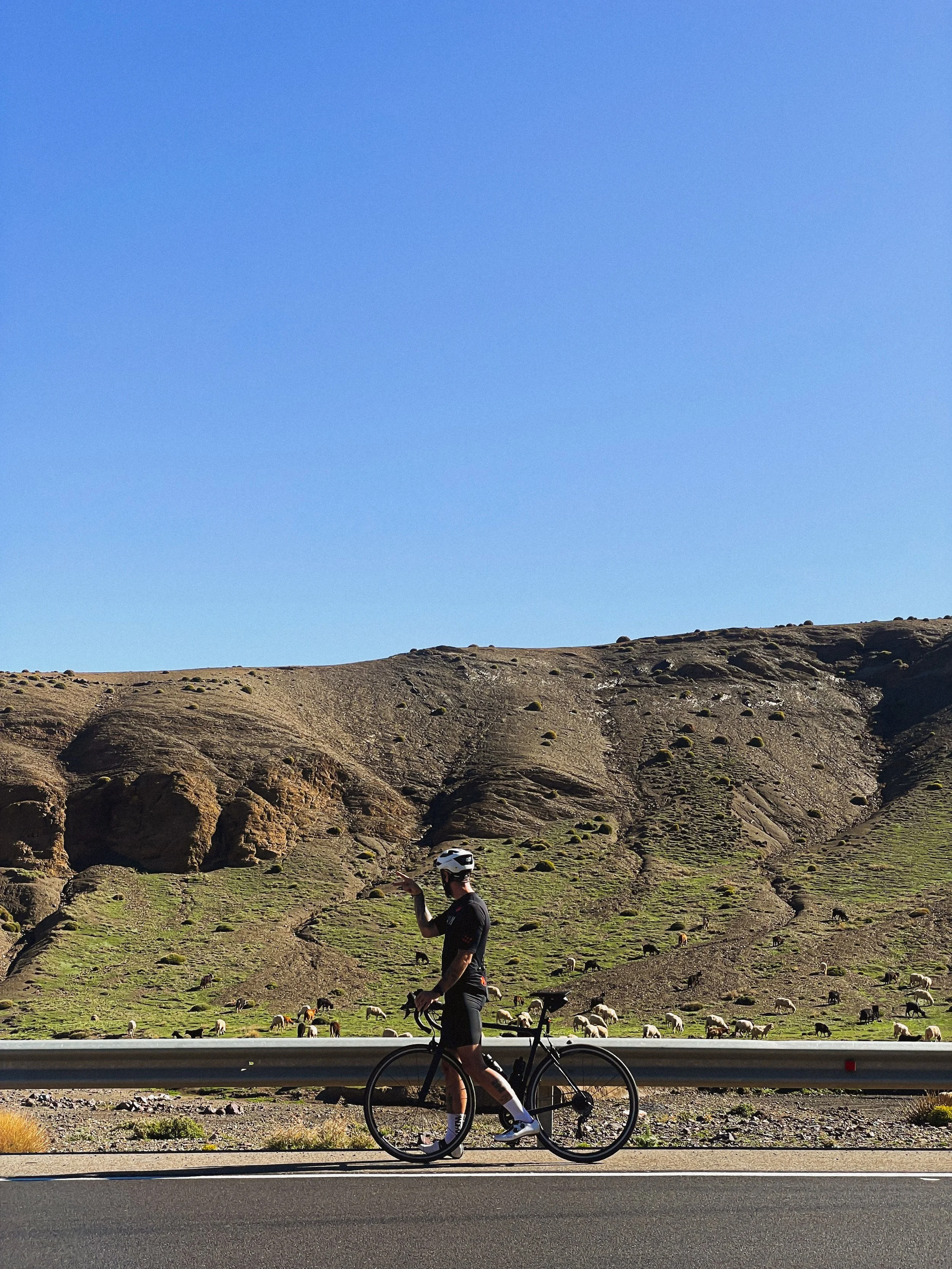 Un cycliste en tenue noire et un casque blanc traverse un paysage de montagnes arides sous un ciel clair. Des moutons paissent sur la pente rocheuse derrière lui.