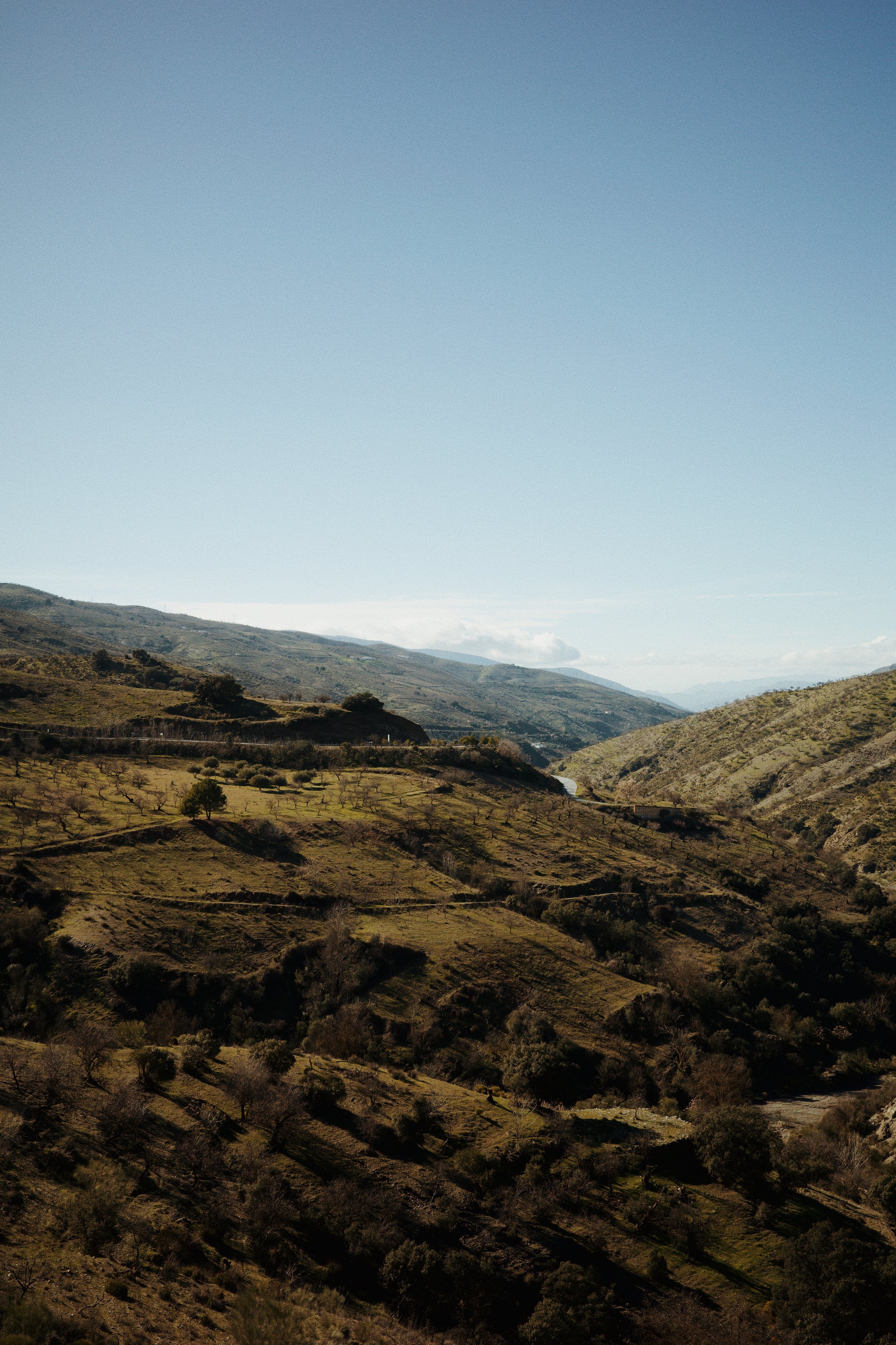 Paysage de collines et de montagnes en arrière-plan avec un ciel clair.
