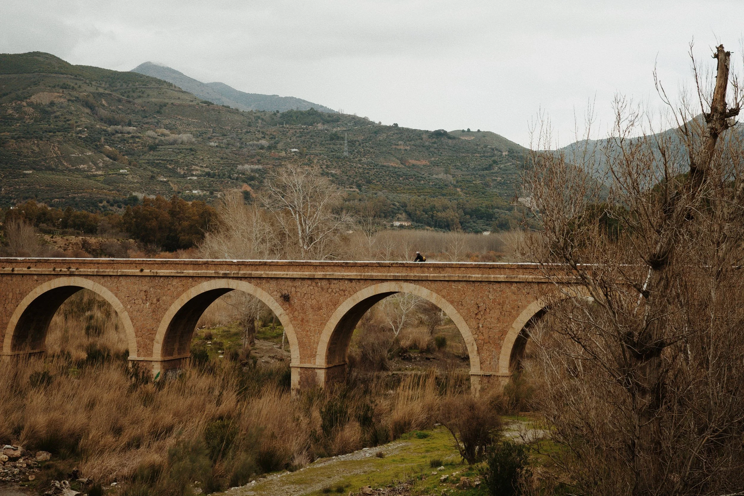 Un paysage de montagnes verdoyantes avec un ancien aqueduc en pierre au premier plan, des arbres sans feuilles et un ciel nuageux.