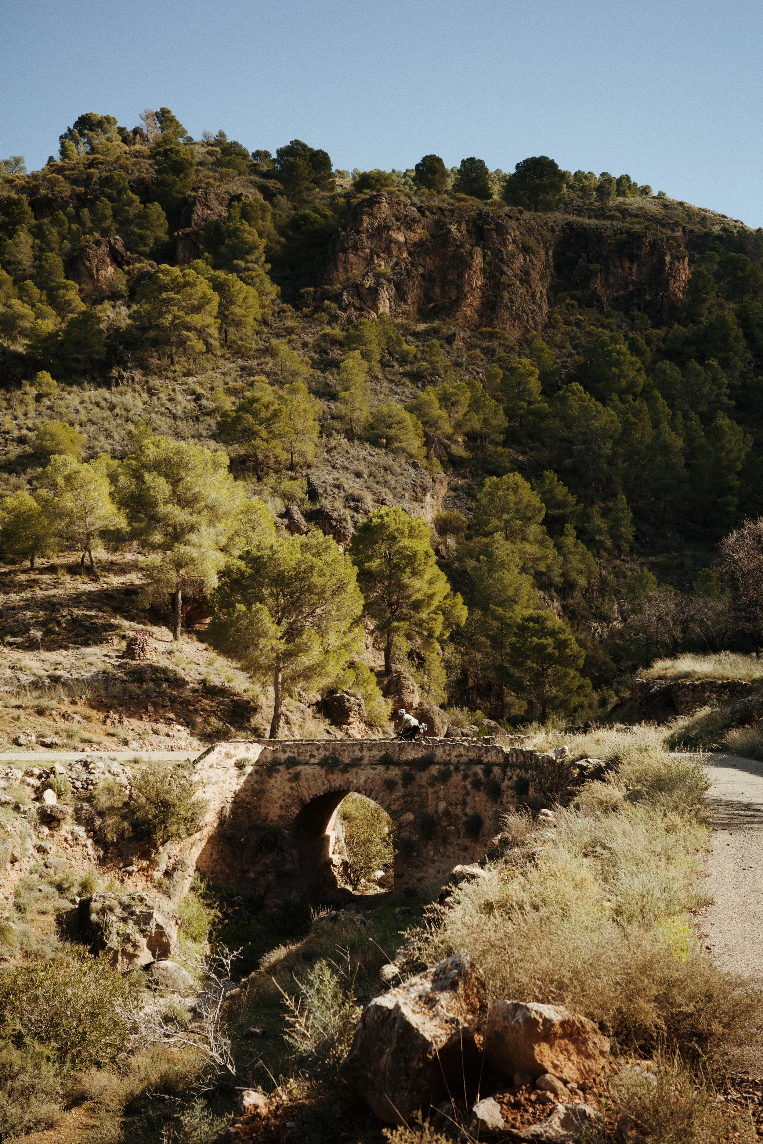 Une montagne avec des arbres verts et un pont de pierre sous un ciel dégagé.
