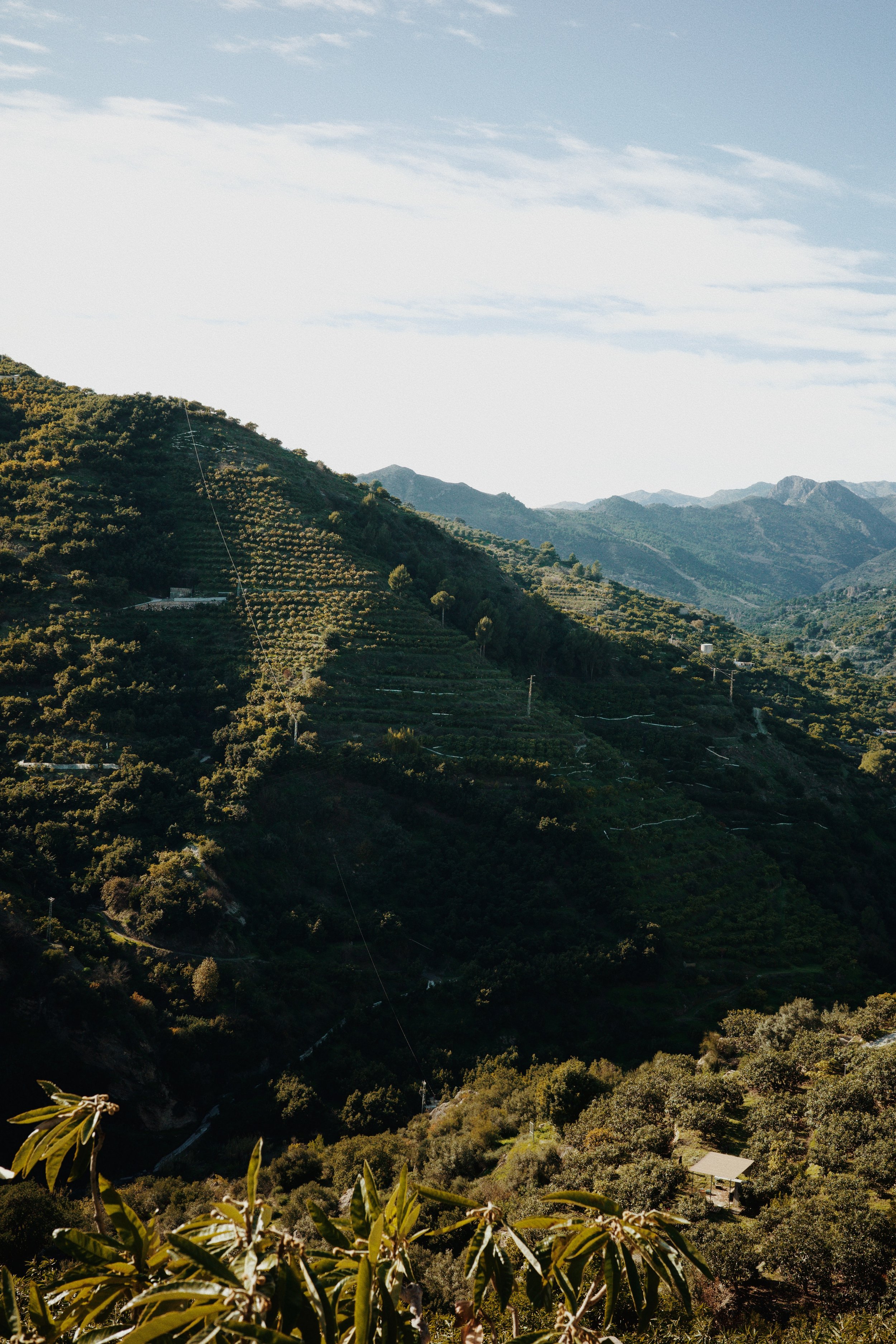 Paysage de montagnes verdoyantes avec des terrasses agricoles et un ciel partiellement nuageux.