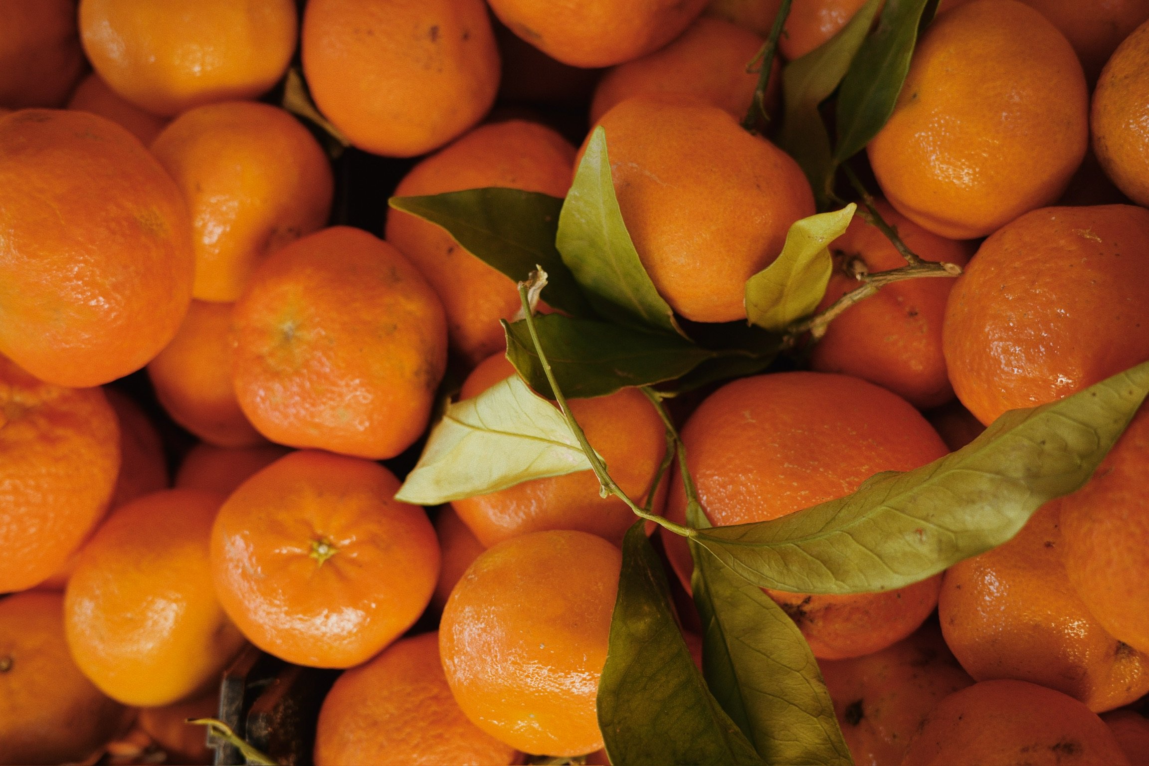 Une collection de mandarines oranges avec quelques feuilles vertes.