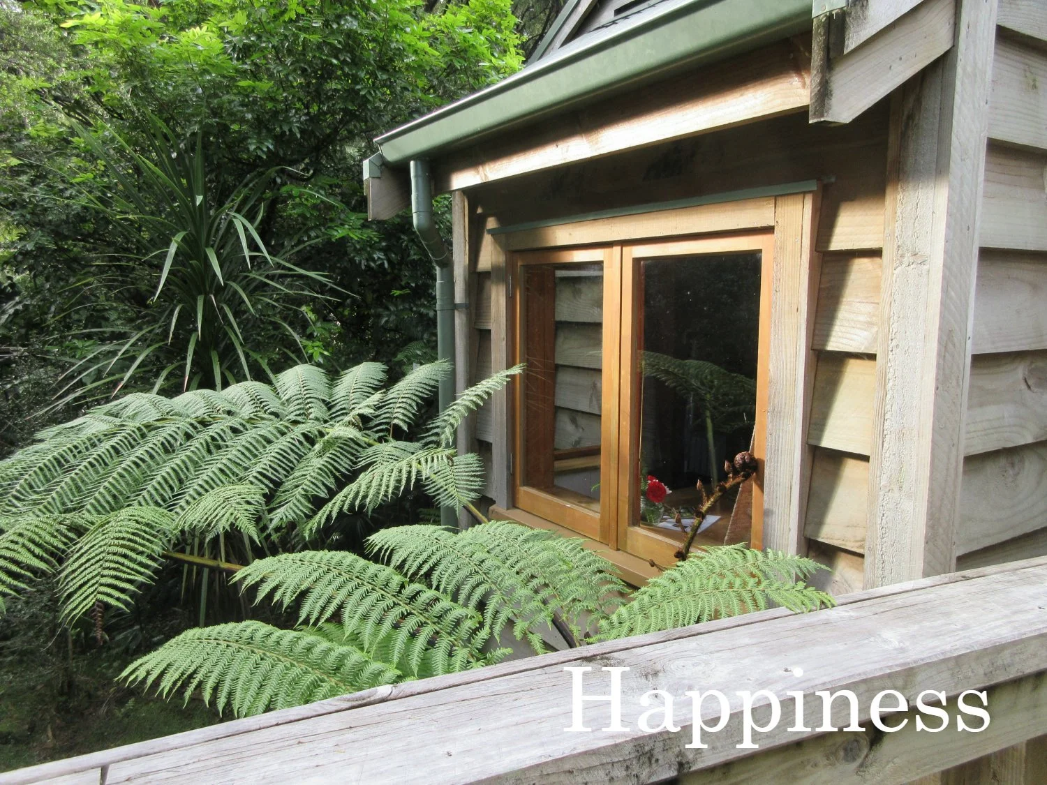 Happiness  (2) text.jpg