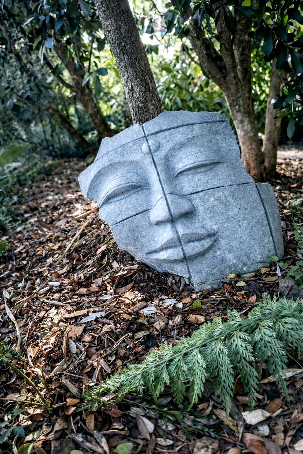 Face.png