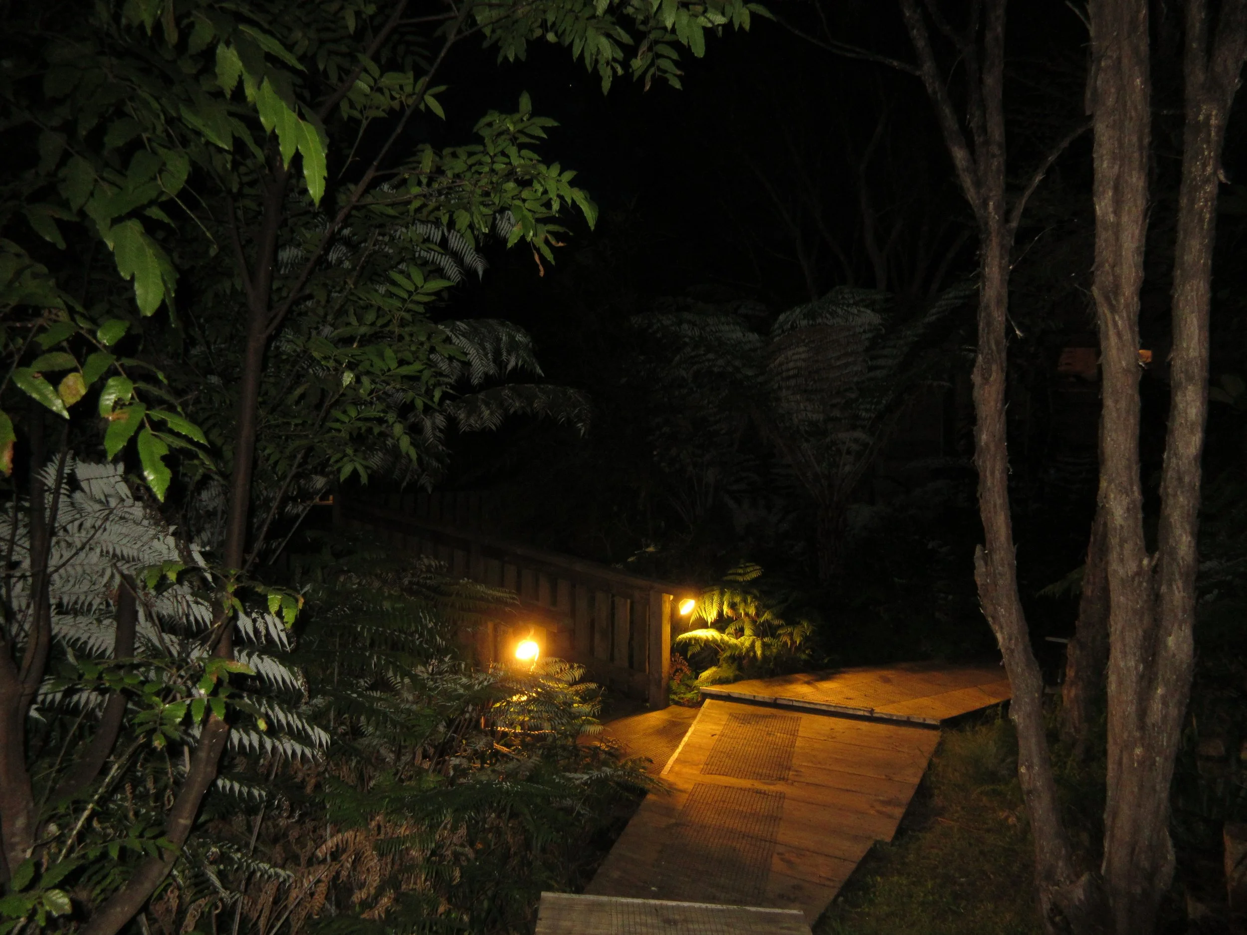 IMG_0986.JPG