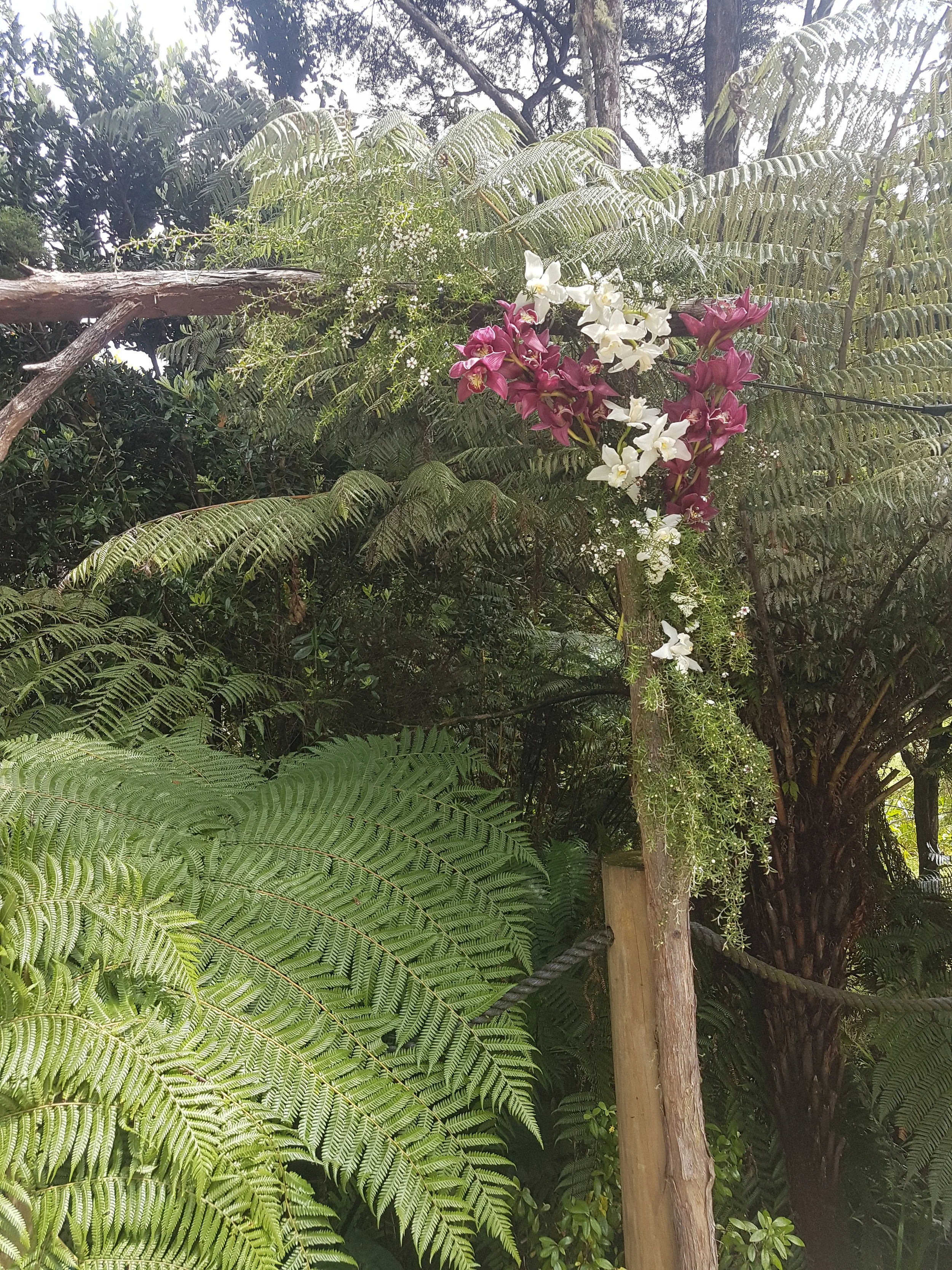 20171014_124221.jpg