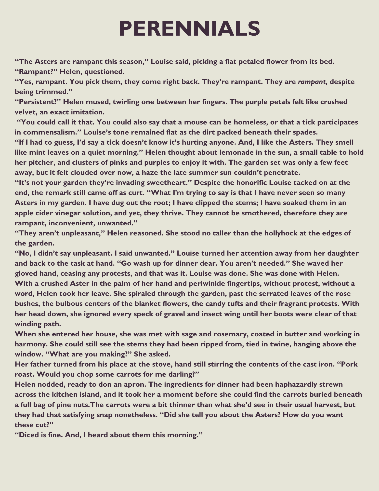 Text from a book or article titled "Perennials," featuring a conversation about Asters and gardening, with detailed descriptions of plants and gardening activities.