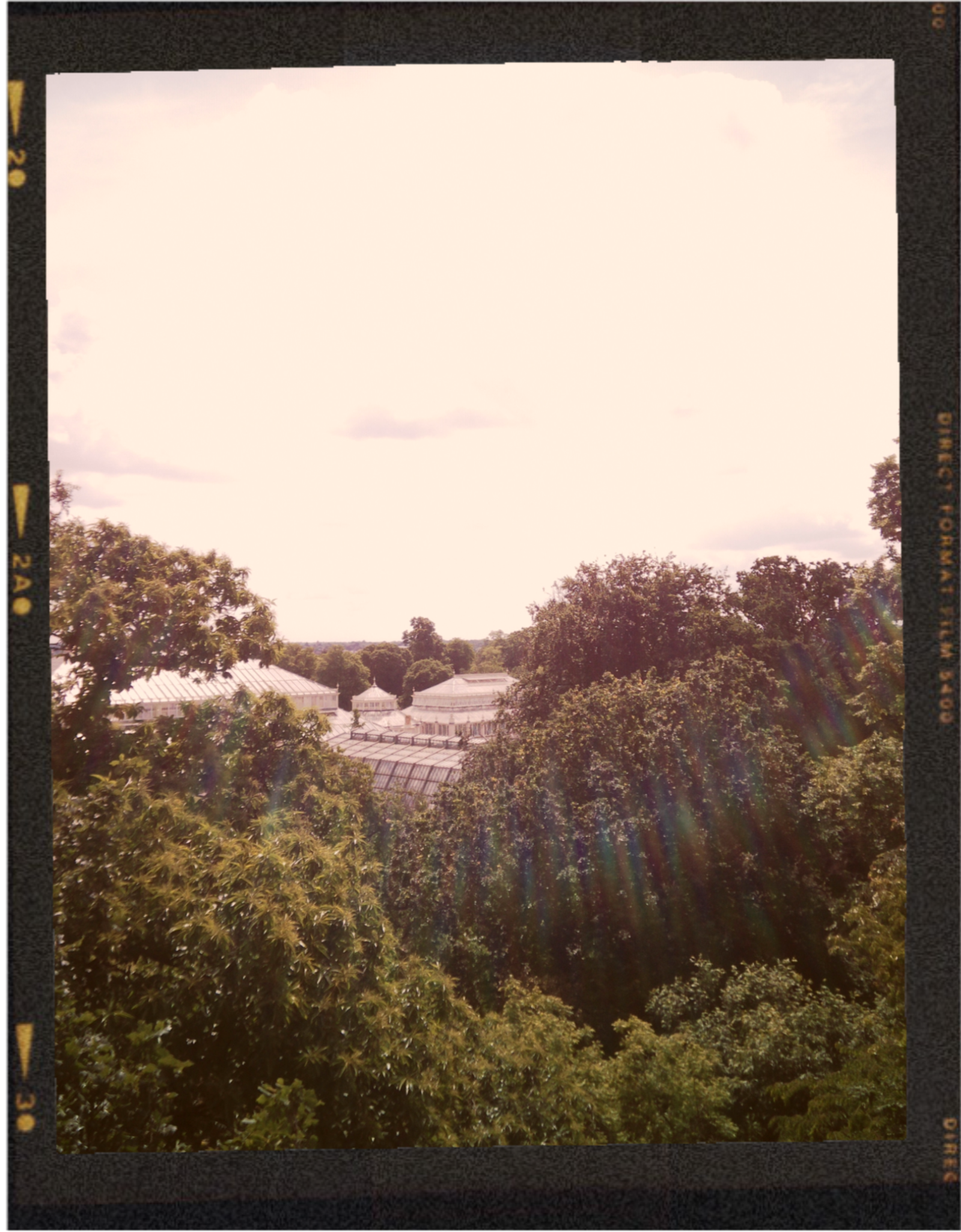 A view of a cloudy sky above trees and rooftops of buildings, with rainbow-colored lens flare.