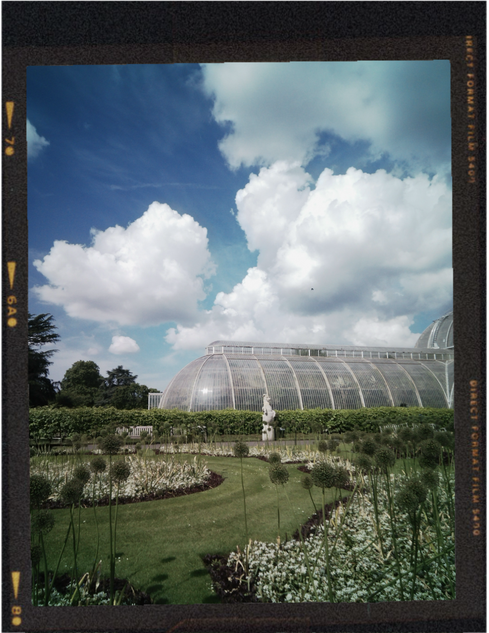 A lush garden with flower beds, trees, and a large greenhouse with a curved roof under a partly cloudy sky.
