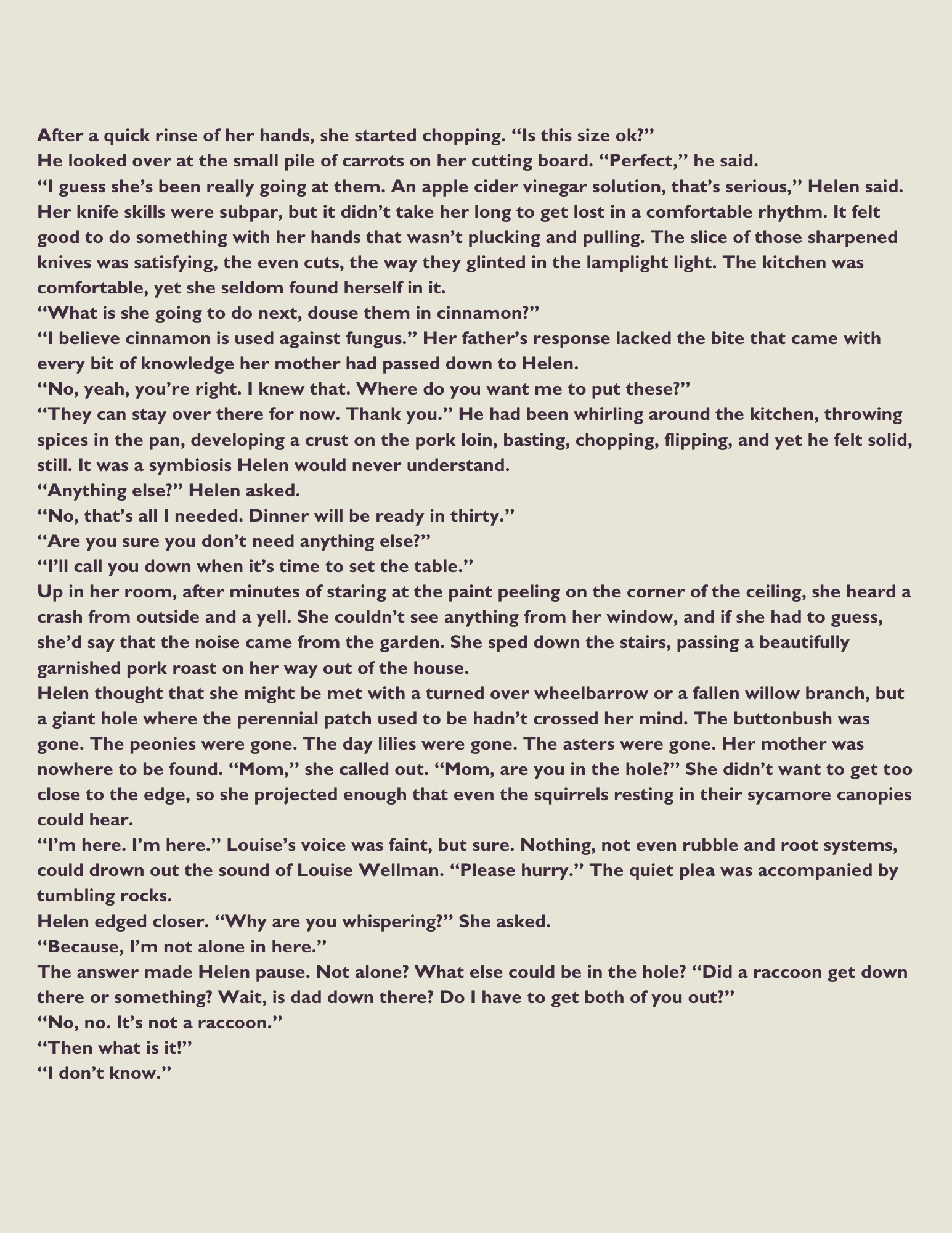 A page of text from a book or document, featuring dialogue between characters, discussing chopping carrots, cinnamon, and a mysterious hole in the ceiling, with a narrative describing a girl named Helen and her concerns about an uncertain situation.