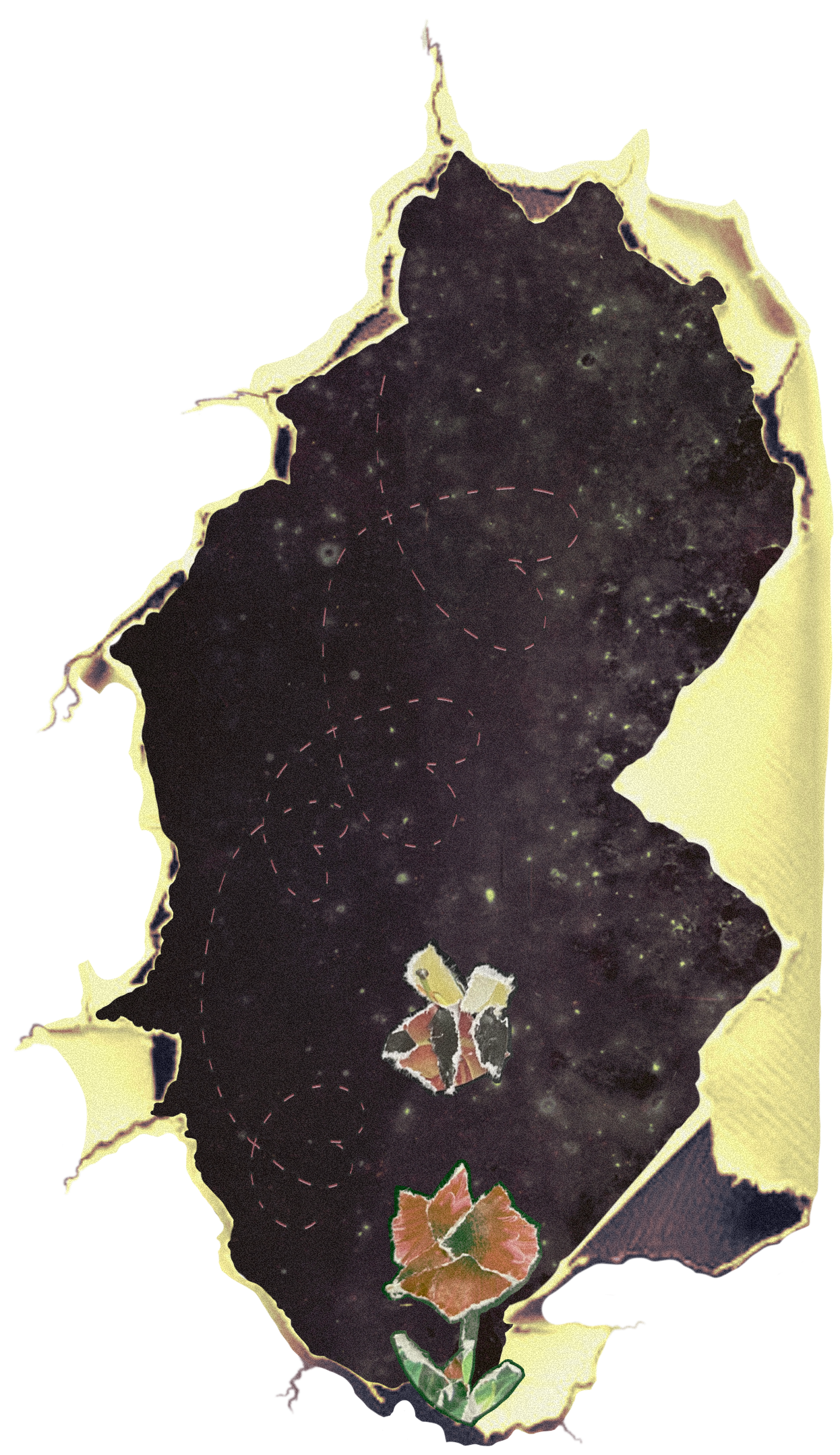 Map of Alabama with botanical illustrations of flowers and dotted lines highlighting paths.