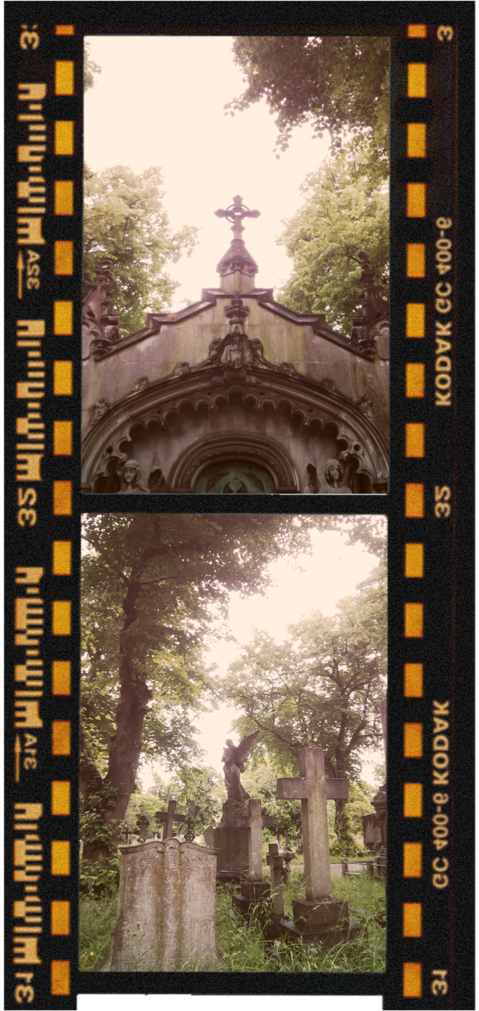 Photograph of a cemetery with various tombstones and statues, taken from a film strip with a black border.