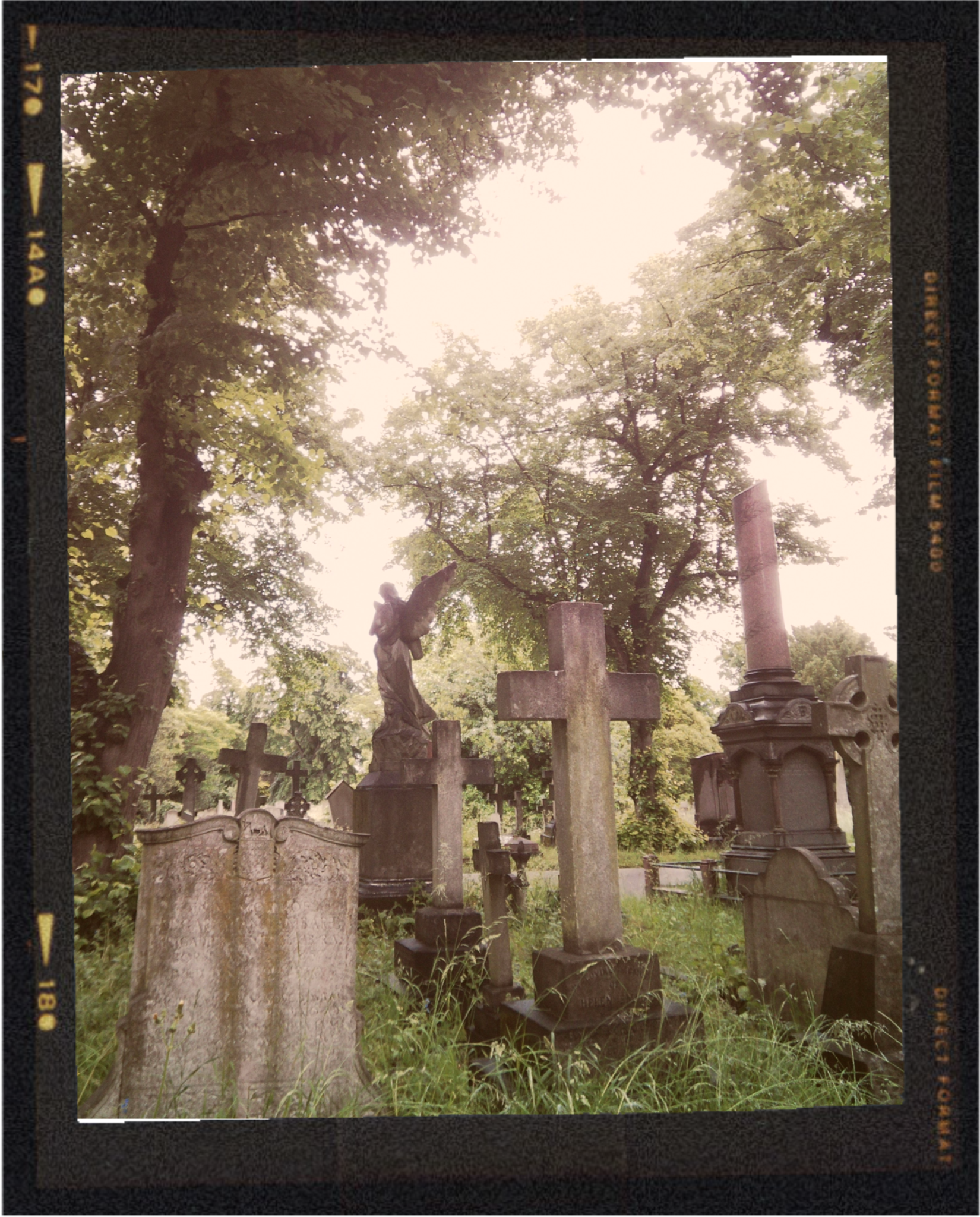 A cemetery with several old gravestones and monuments surrounded by trees and greenery, under a bright, cloudy sky.