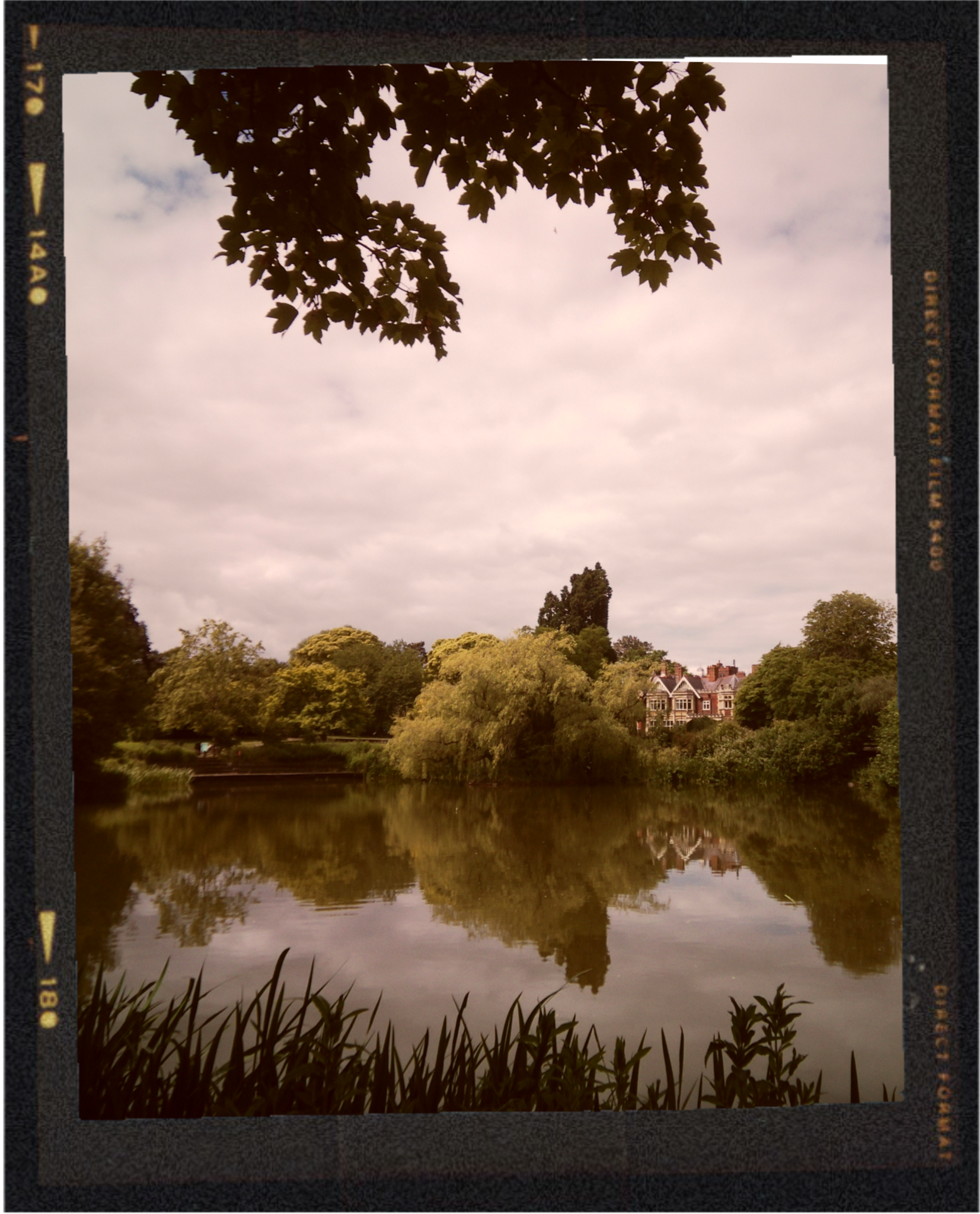 A lakeside scene with a body of water reflecting trees and cloudy sky, with house in the background and grass in the foreground.