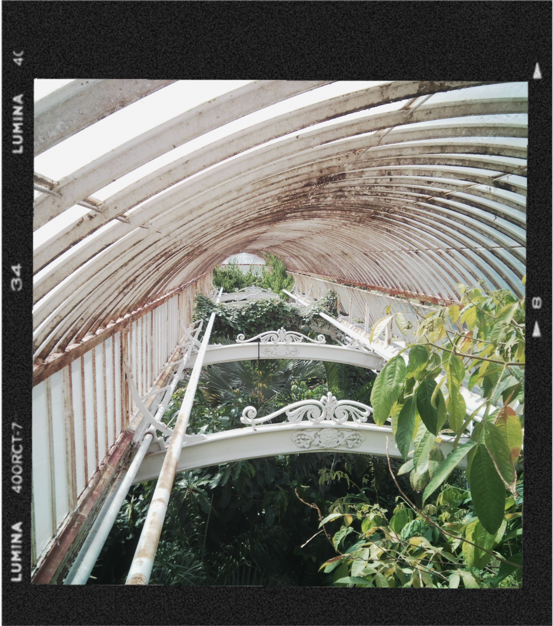 View of a garden or outdoor area under a curved, aged metal or wooden structure with lush green plants and trees.