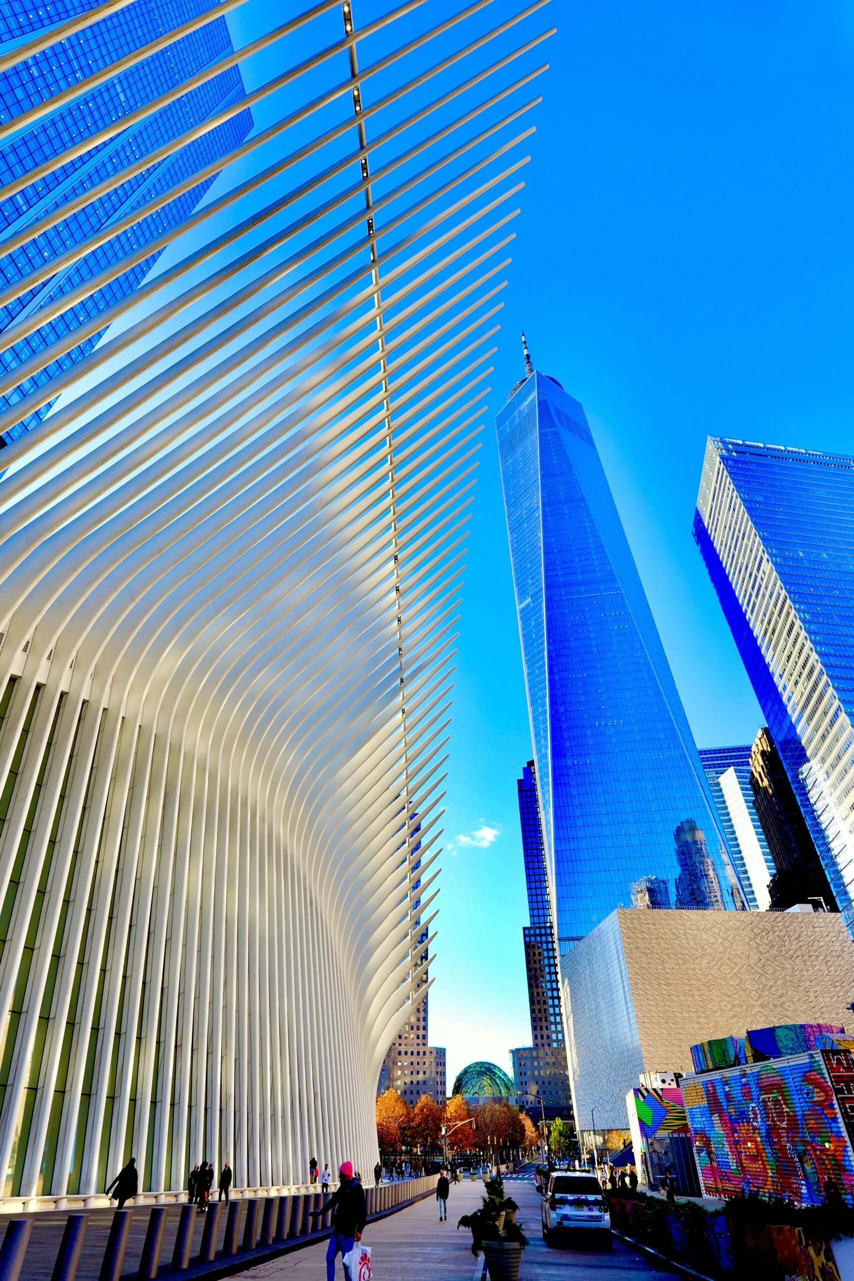 Discovering New York in November: Five Must-Do Activities