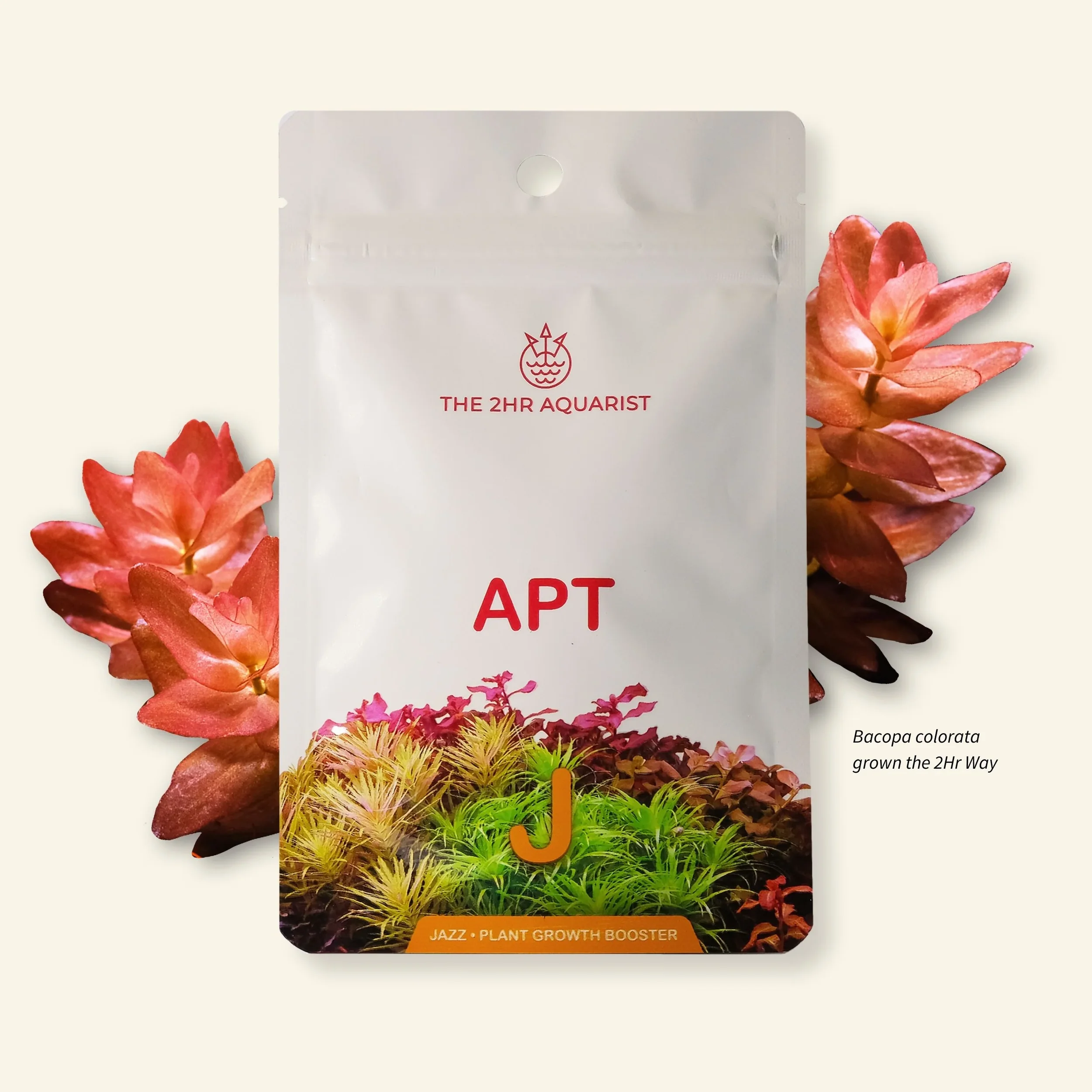 APT_JAZZ_18_Front_5000x.webp