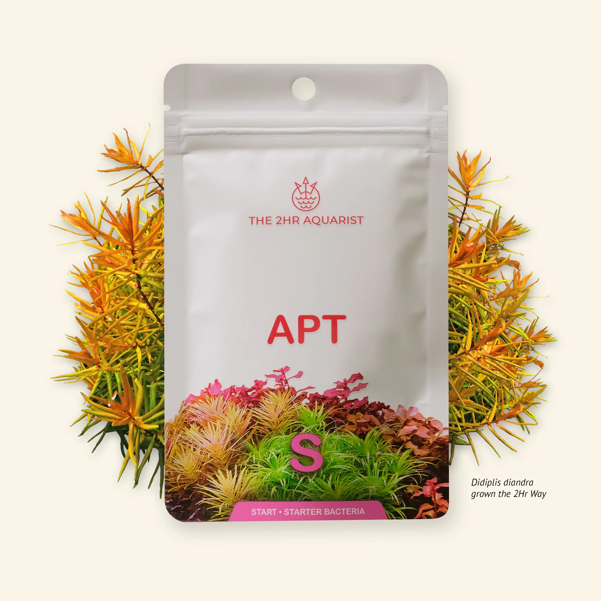 APTStart2800pFront_5000x.webp