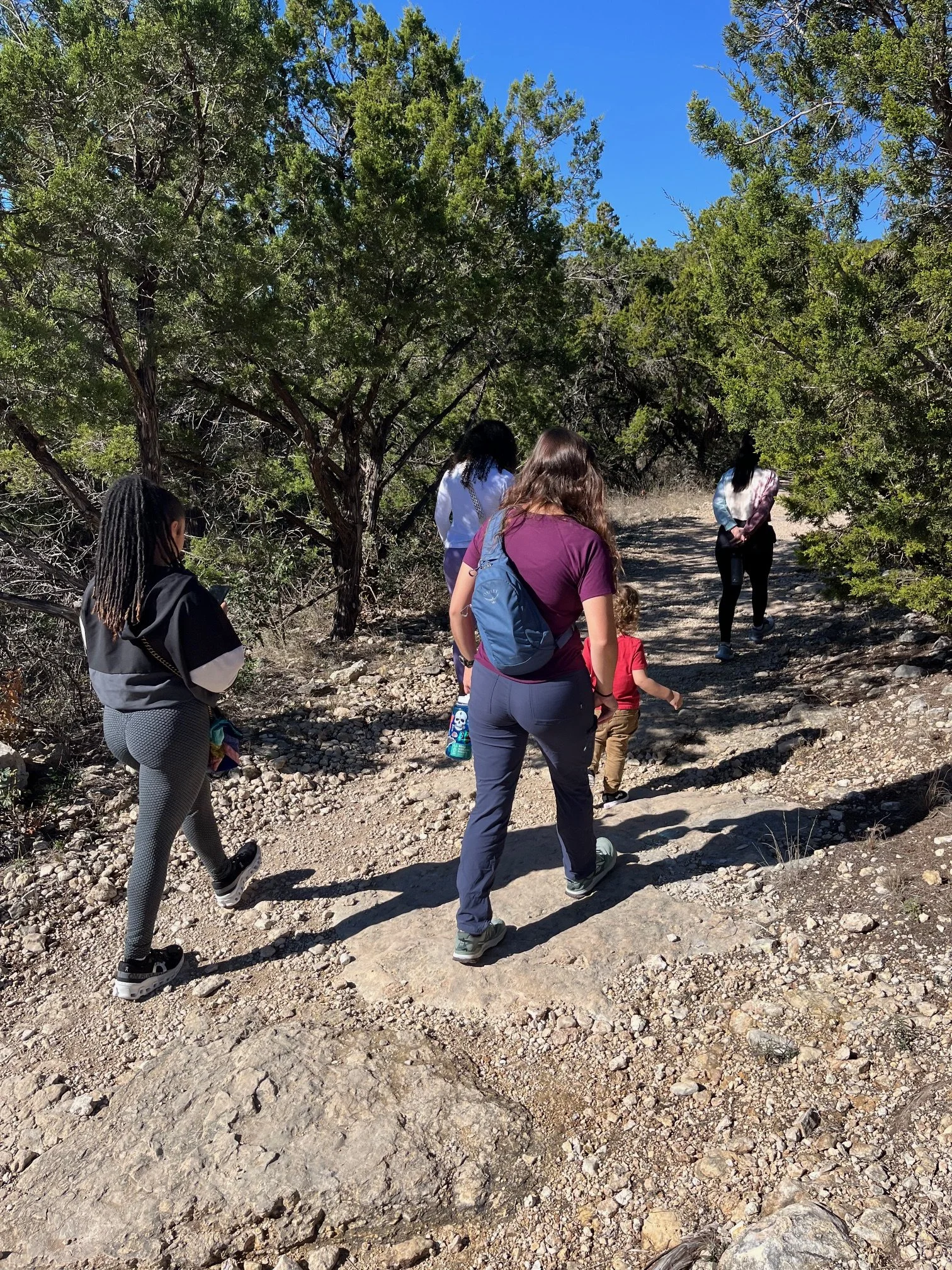 Group of people walking on a rocky hiking trail through a forest with green trees and blue sky.